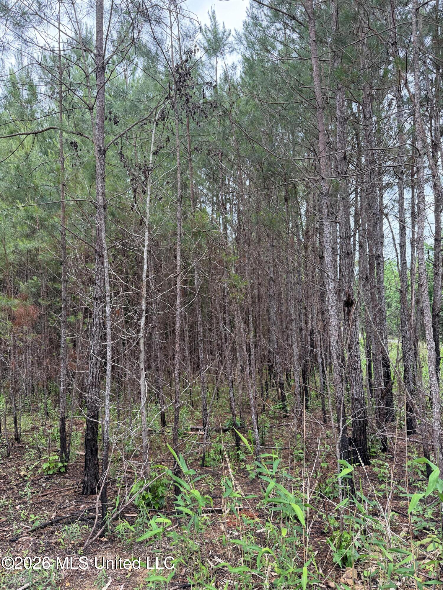 157 Walker Bottom Road Property Photo 13