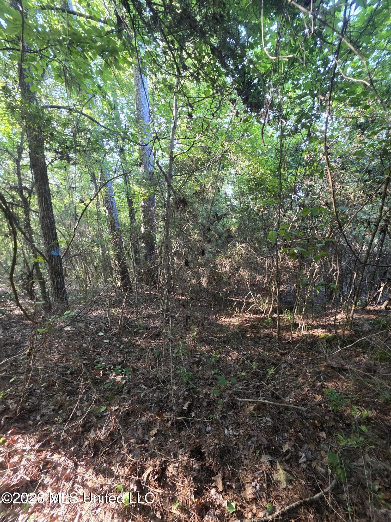 Hamilton Road Property Photo 8
