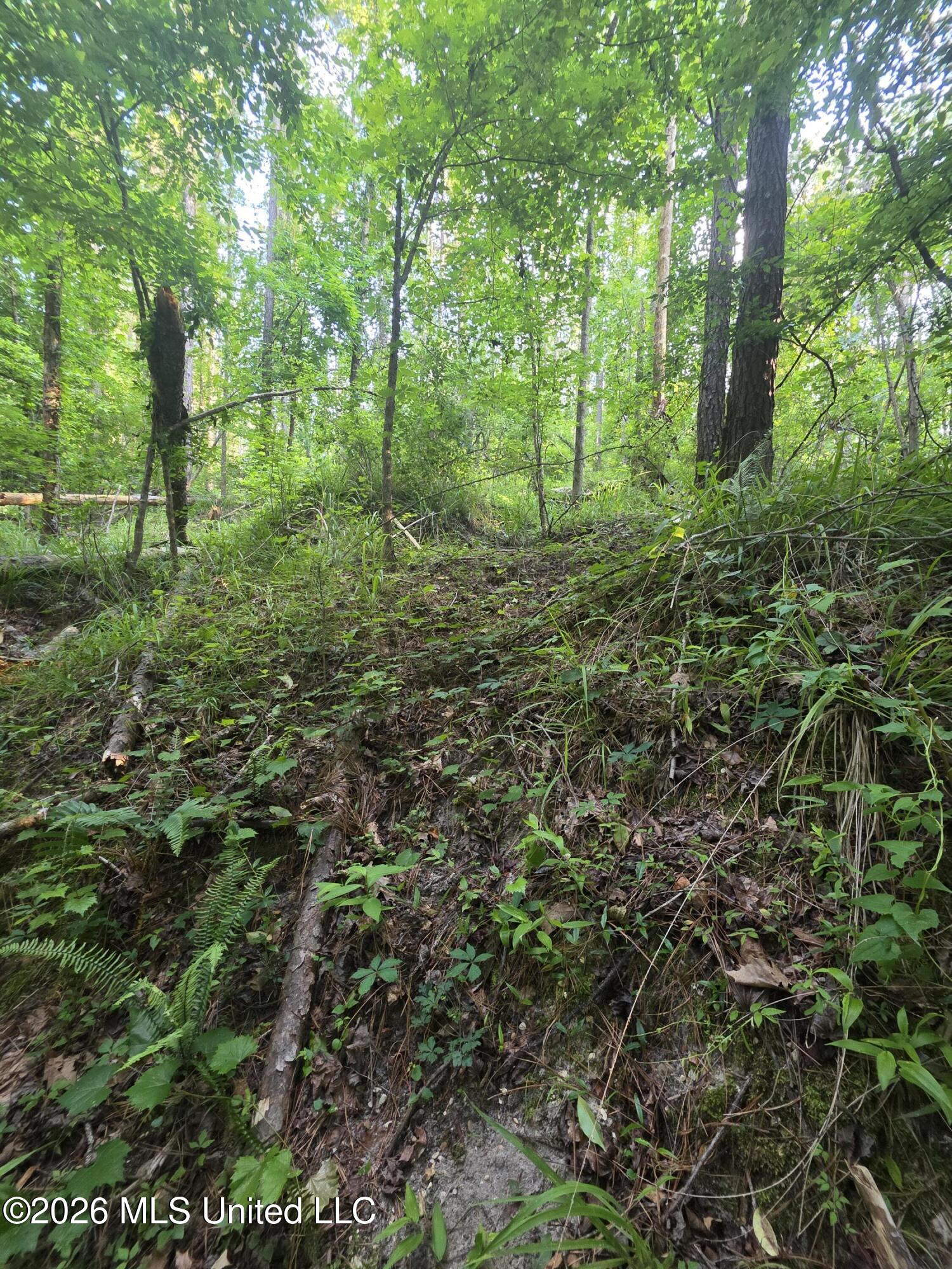 Enterprise Road Property Photo 7