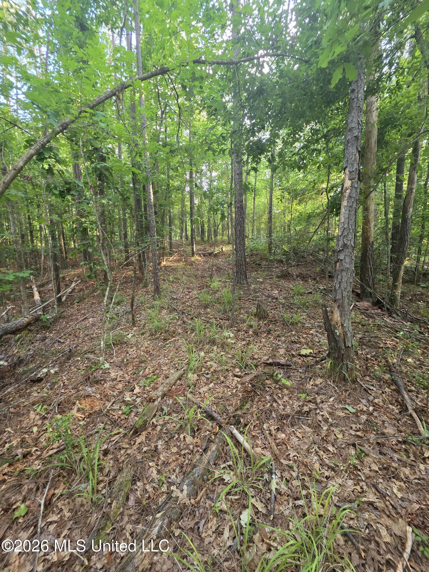 Enterprise Road Property Photo 8