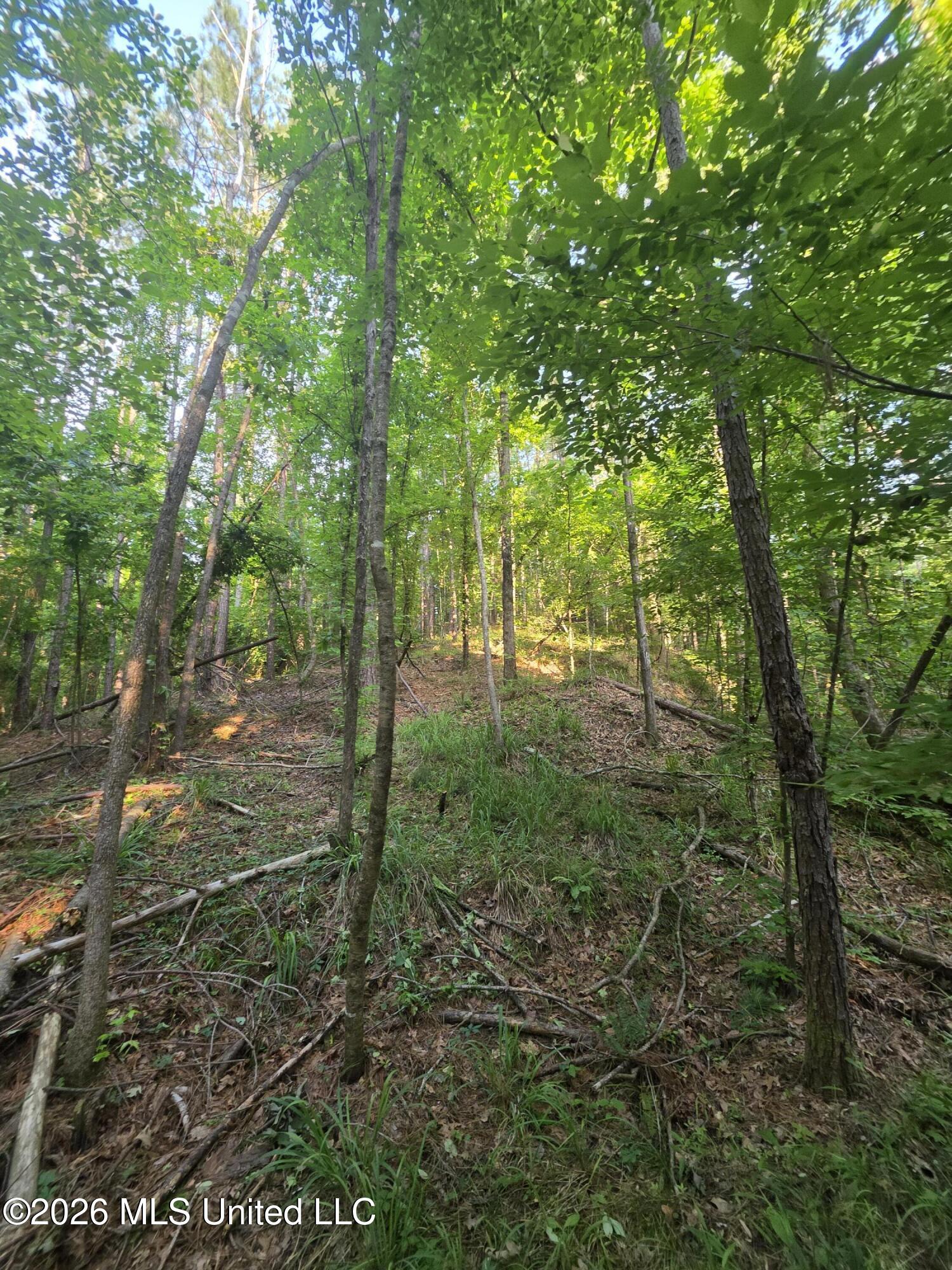 Enterprise Road Property Photo 10