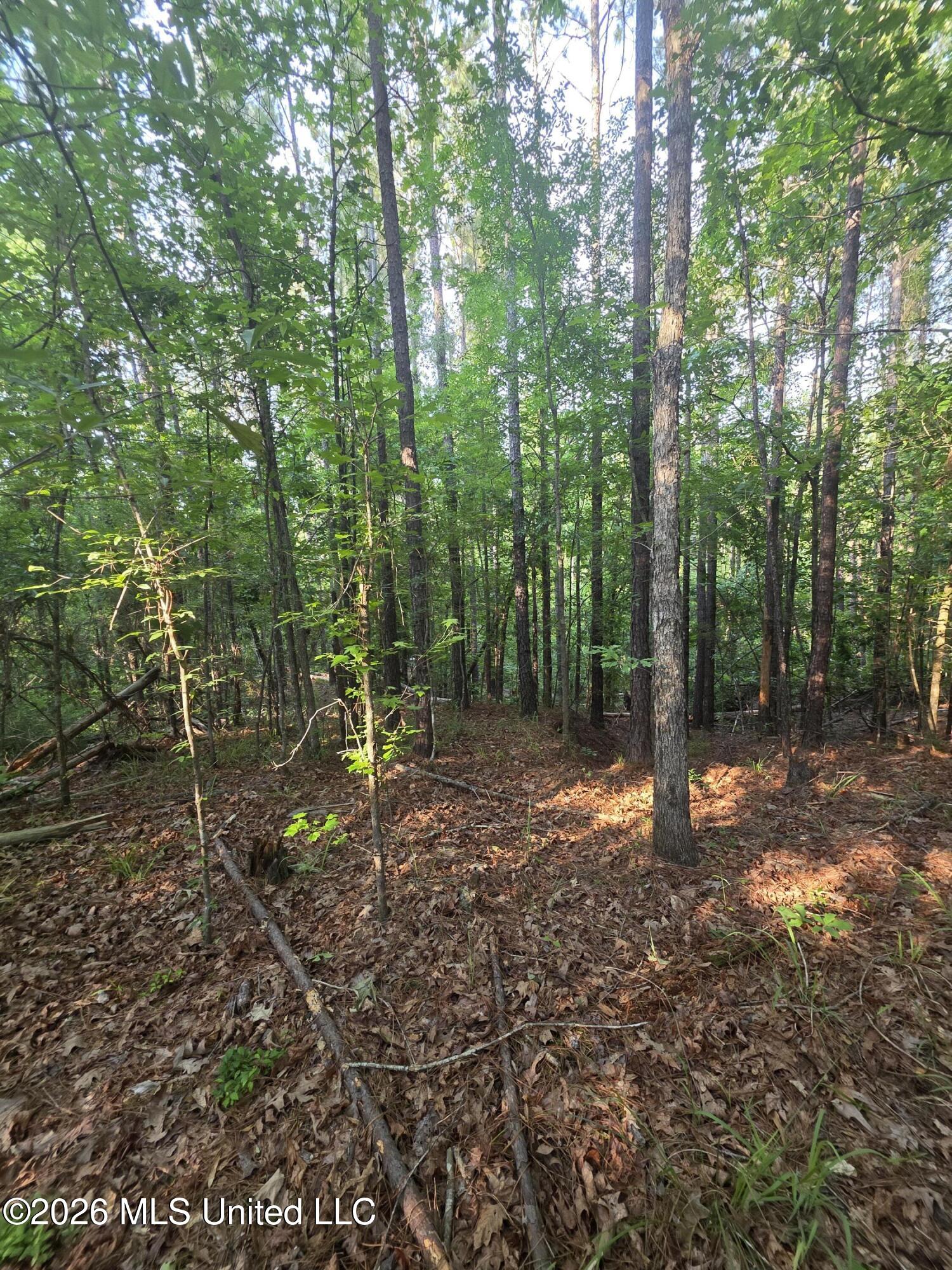Enterprise Road Property Photo 19