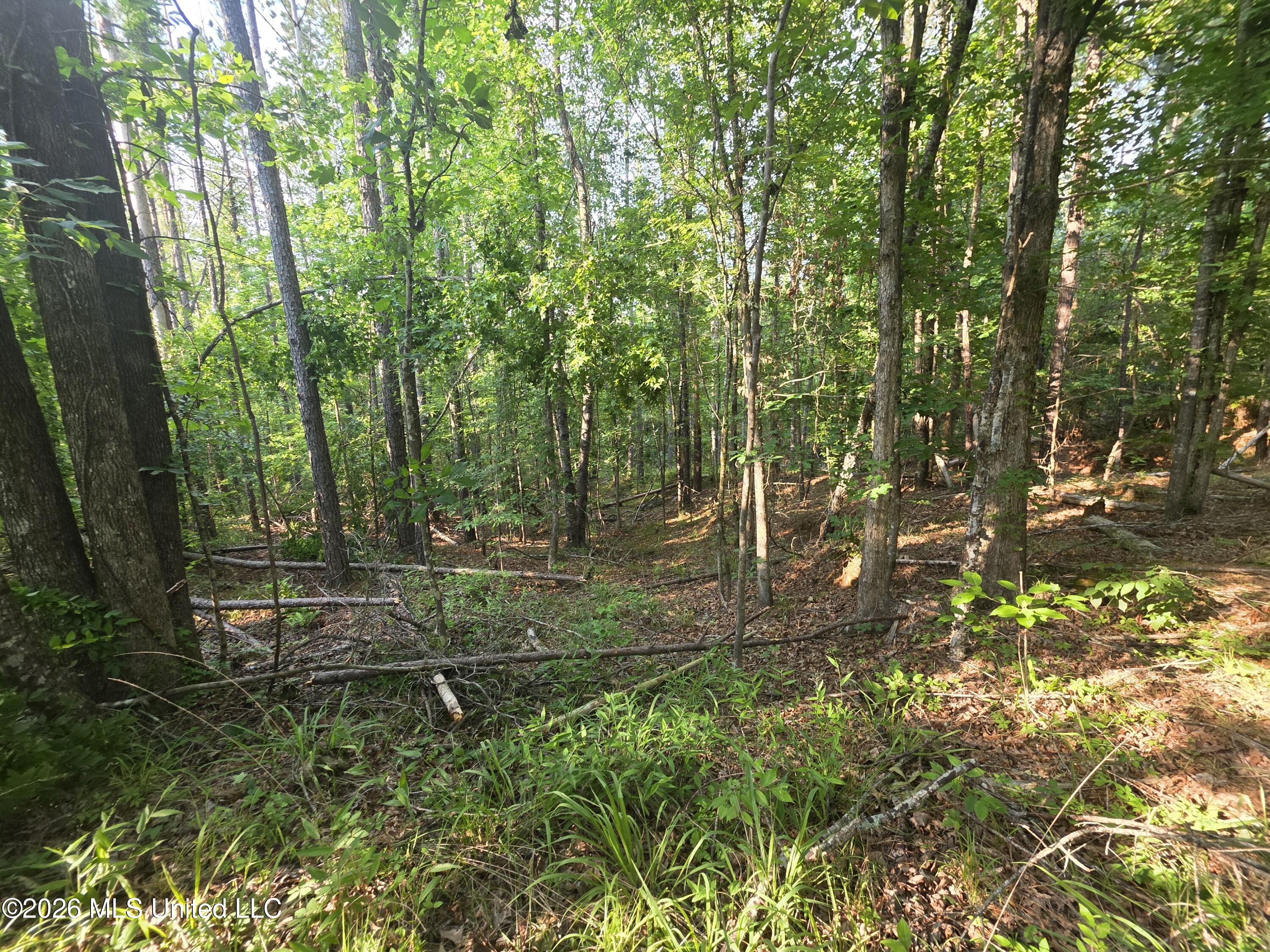 Enterprise Road Property Photo 22