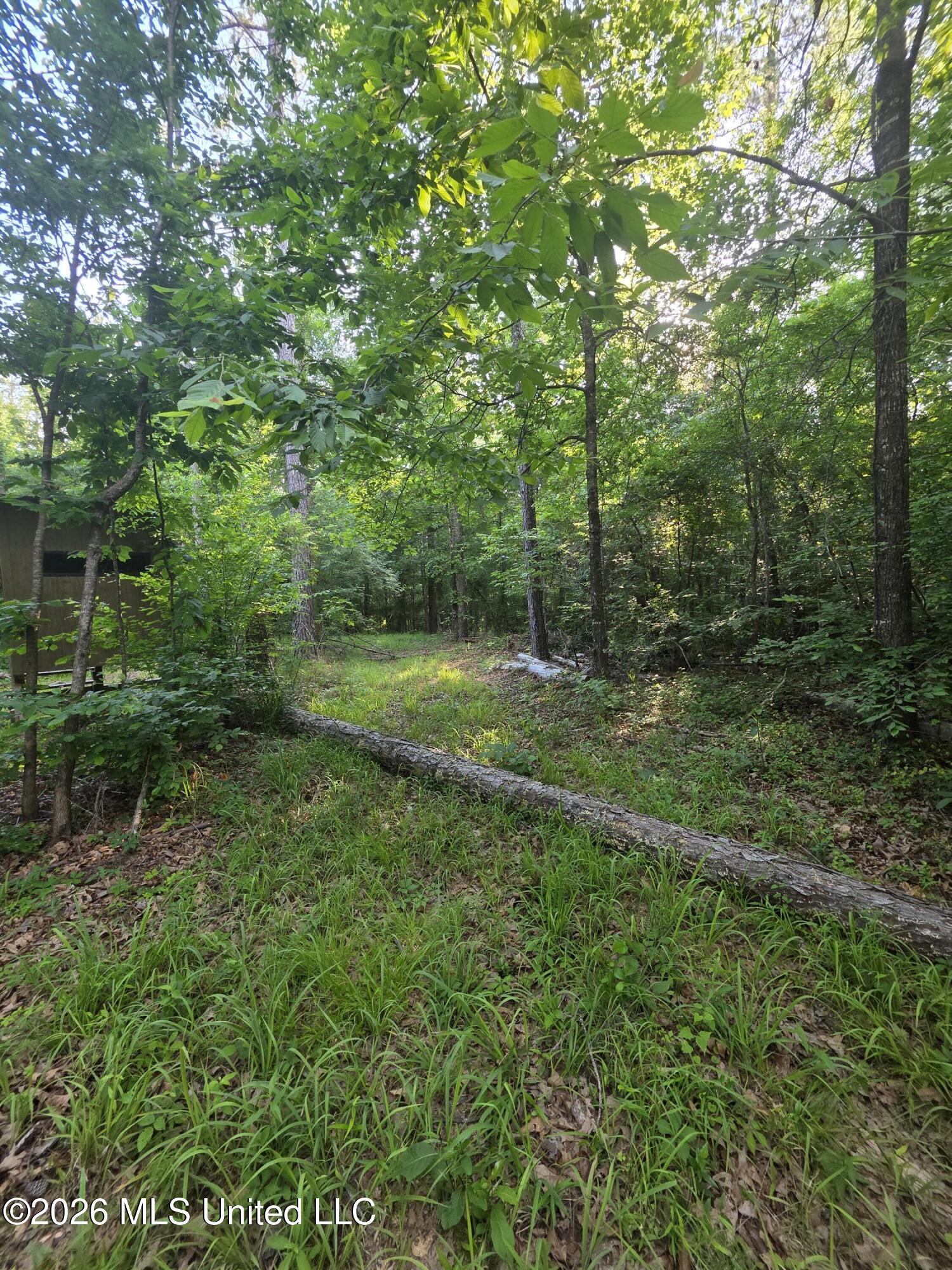 Enterprise Road Property Photo 23