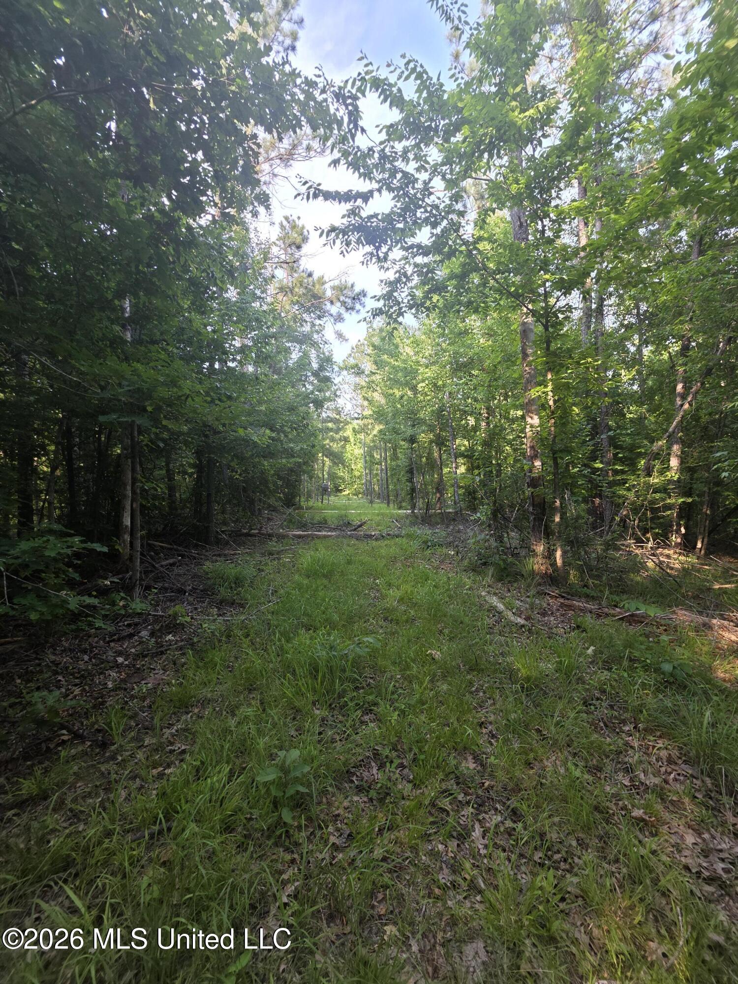 Enterprise Road Property Photo 24