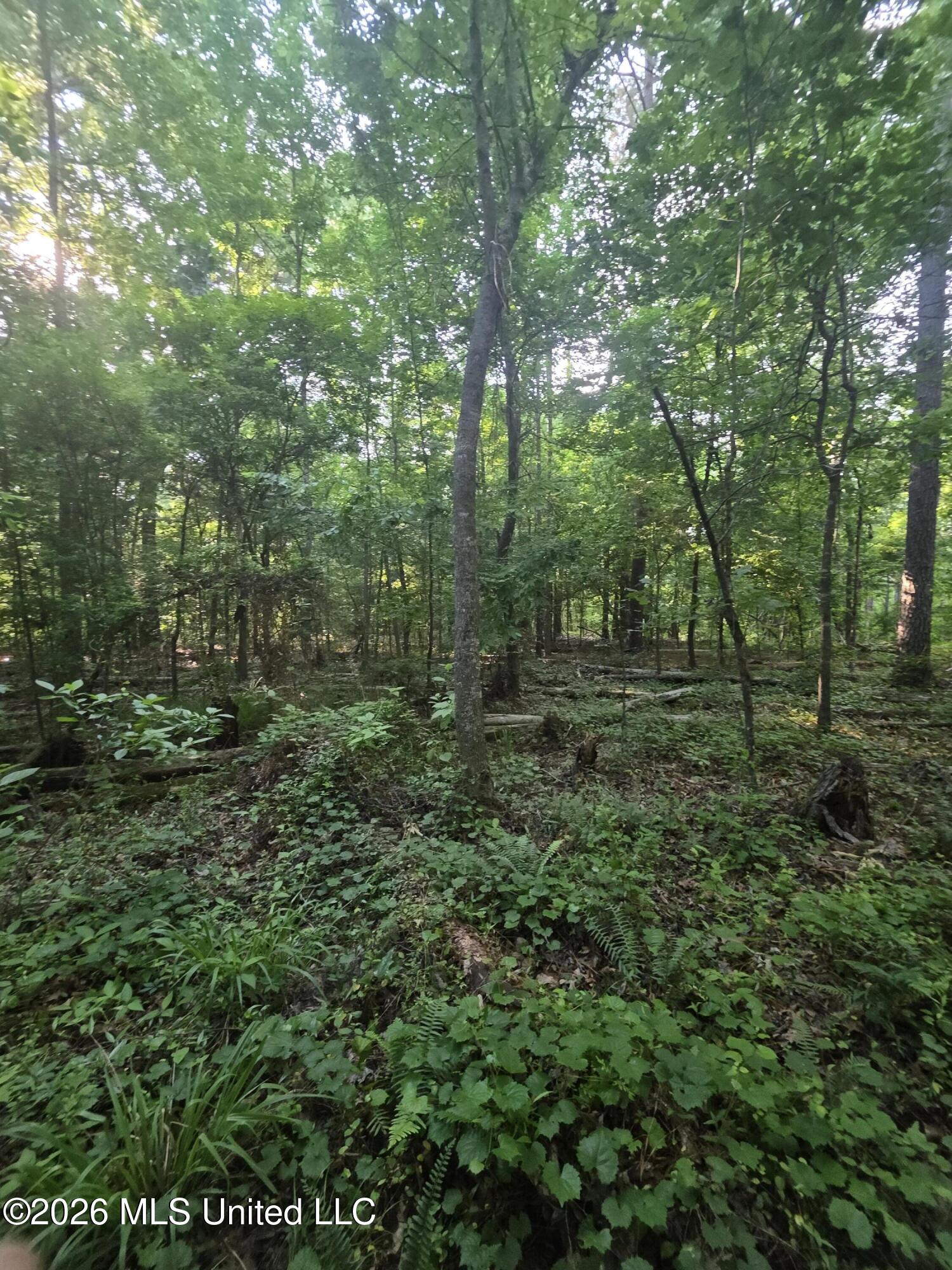 Enterprise Road Property Photo 25