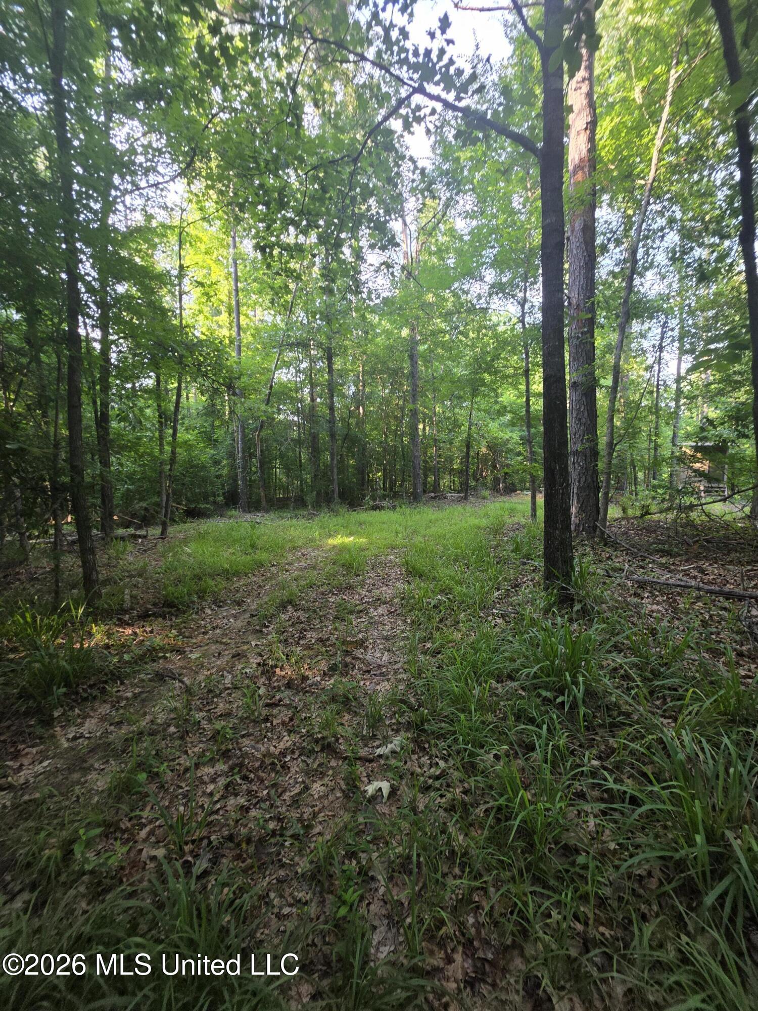 Enterprise Road Property Photo 29