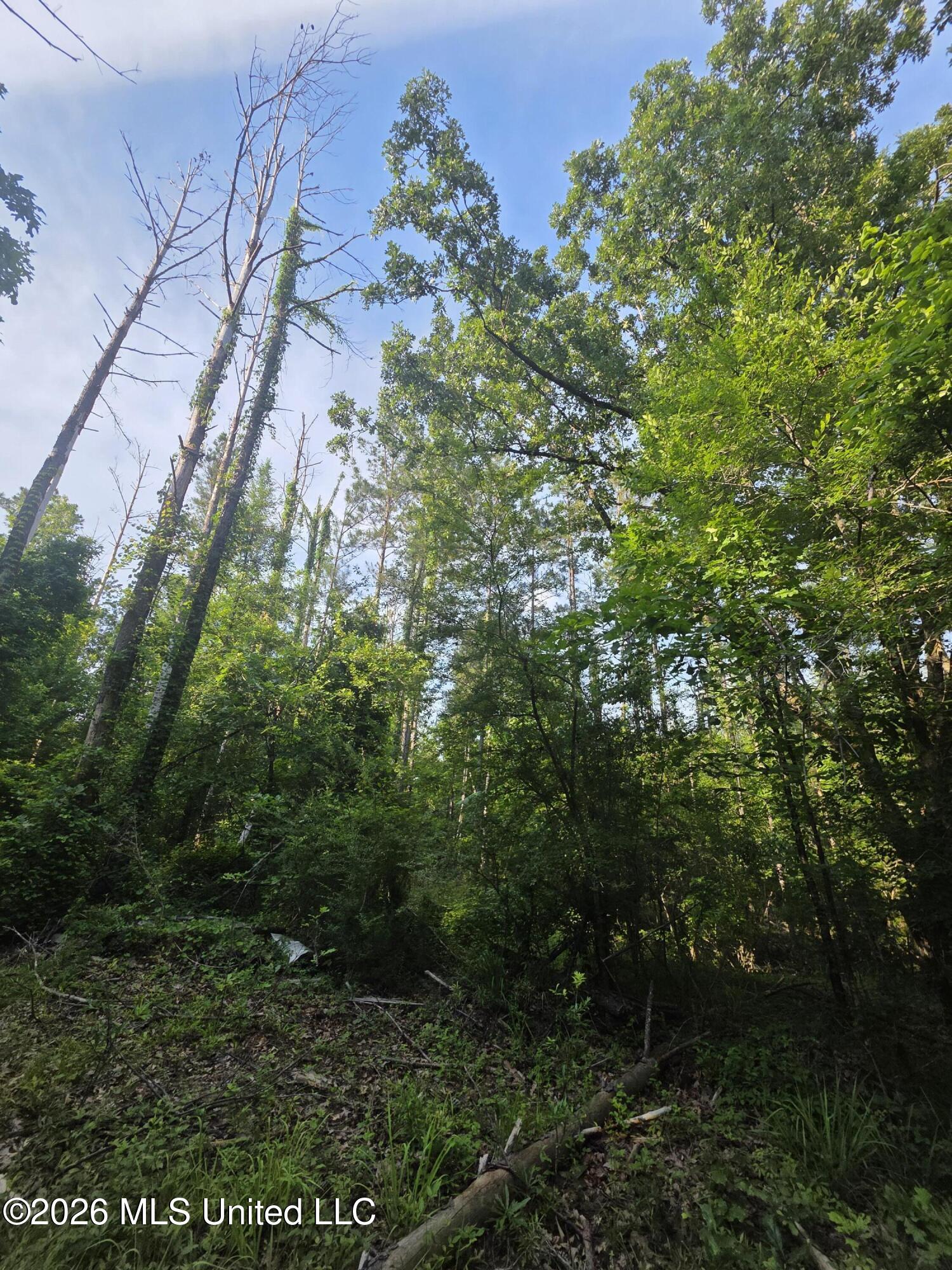 Enterprise Road Property Photo 30