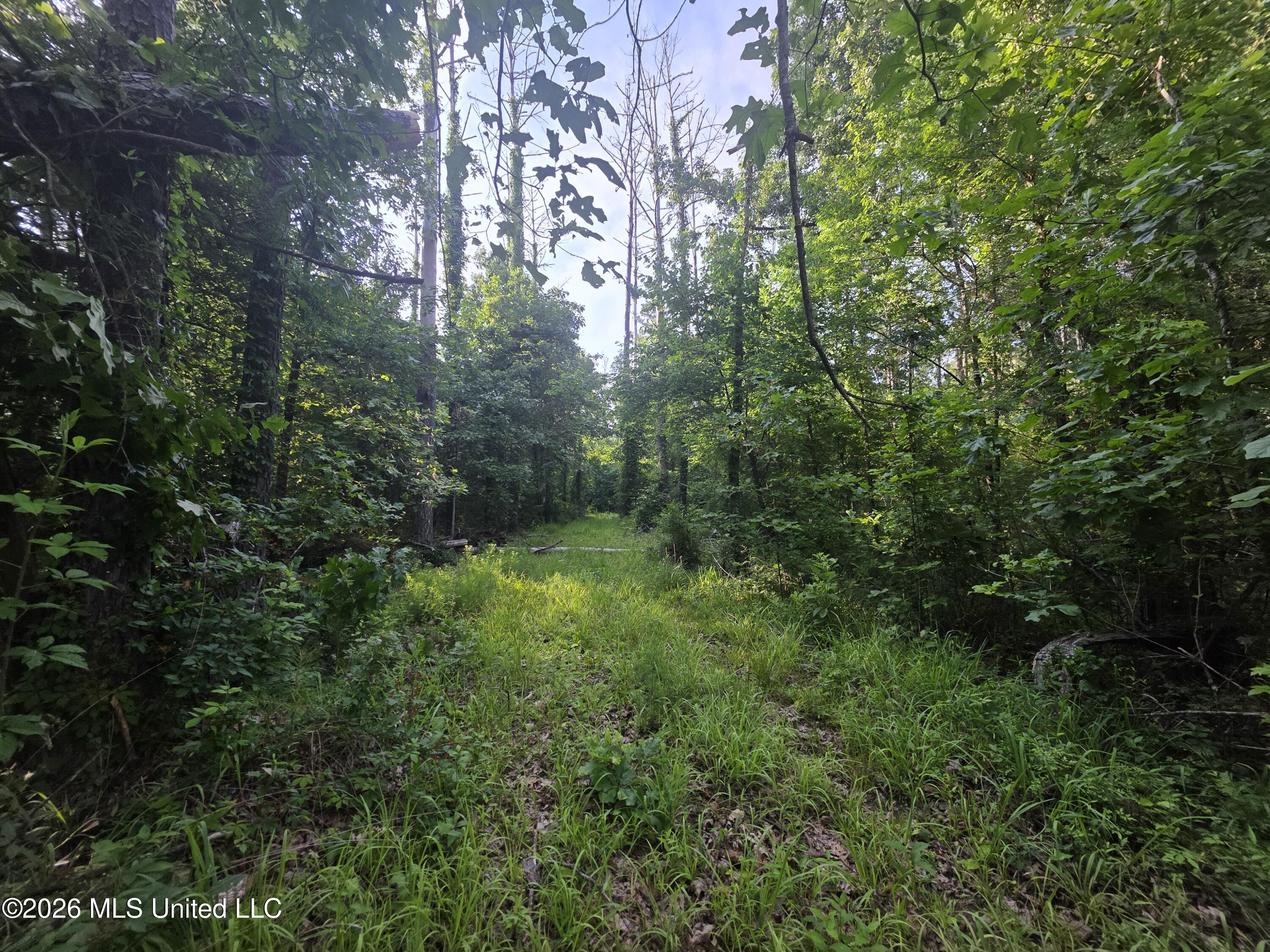 Enterprise Road Property Photo 31