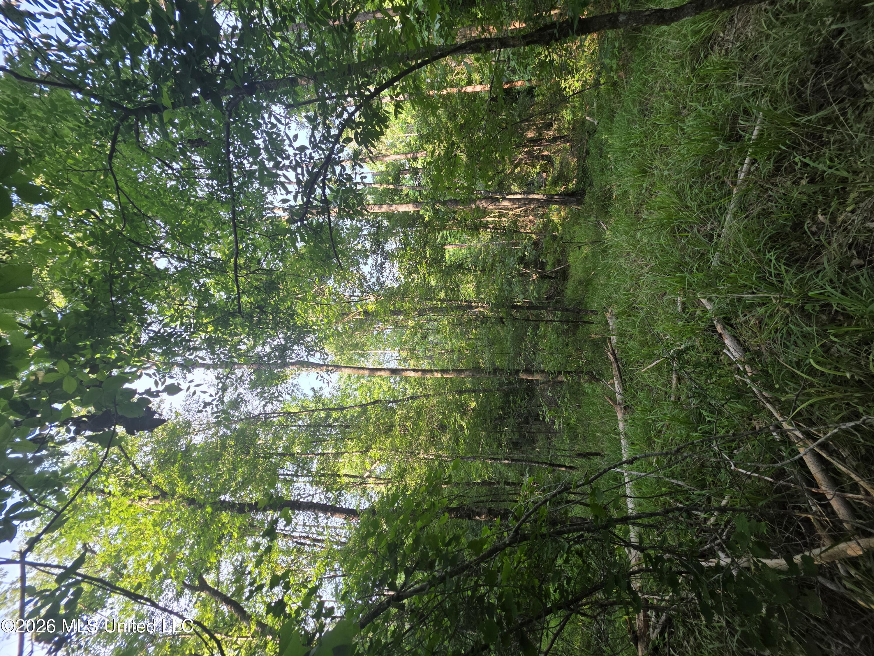 Enterprise Road Property Photo 34