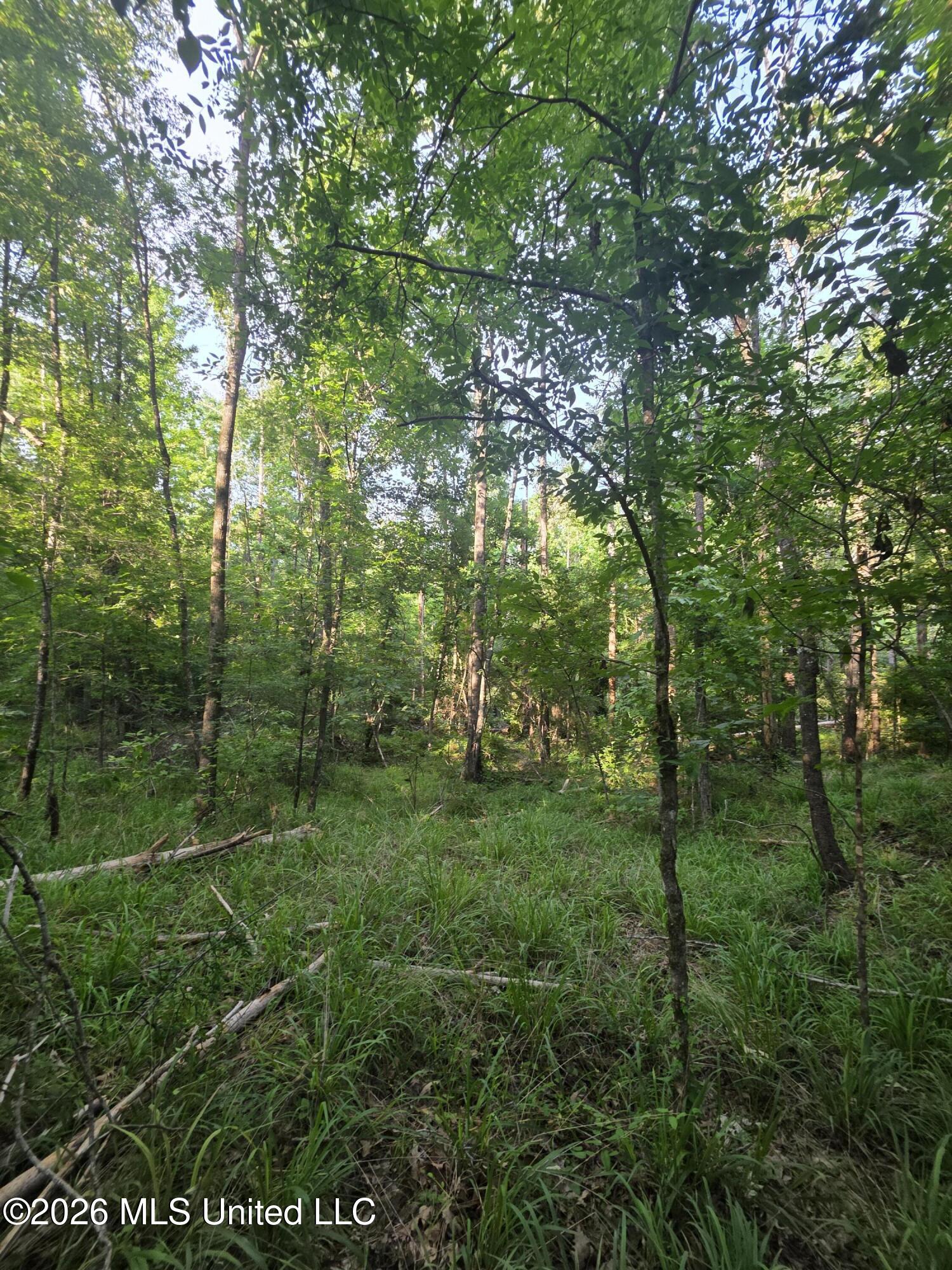 Enterprise Road Property Photo 35