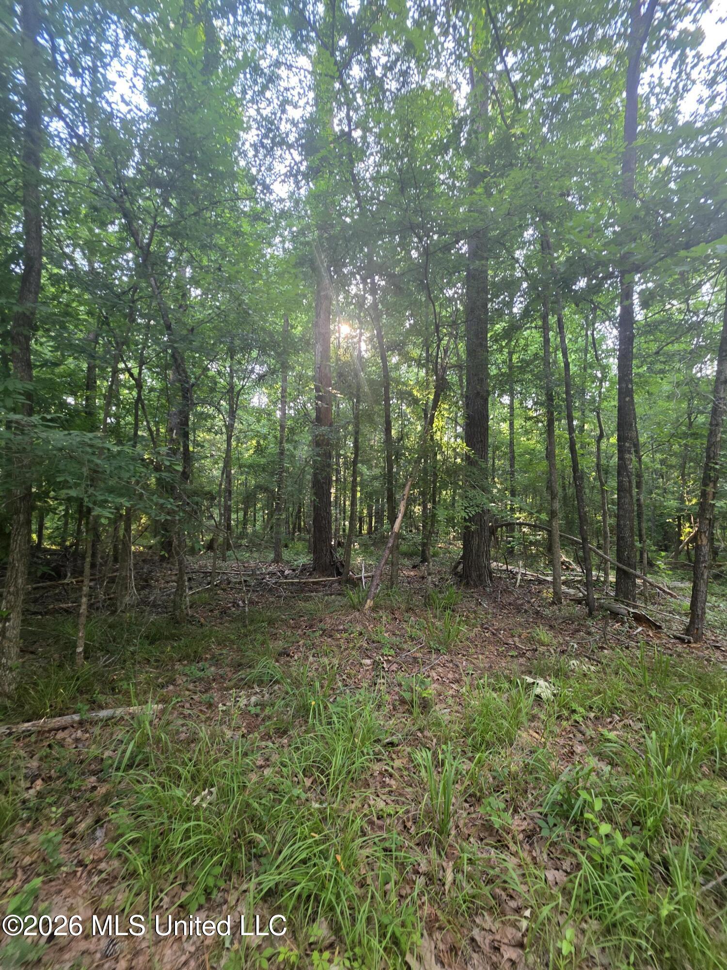 Enterprise Road Property Photo 36