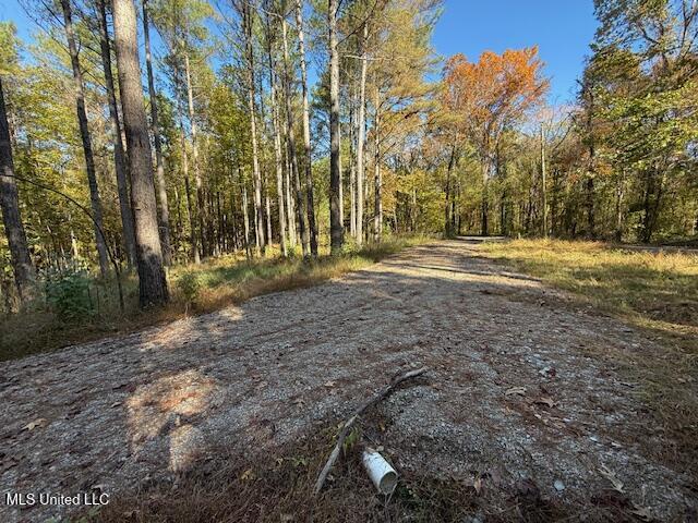 Perry Chapel Road Property Photo 5