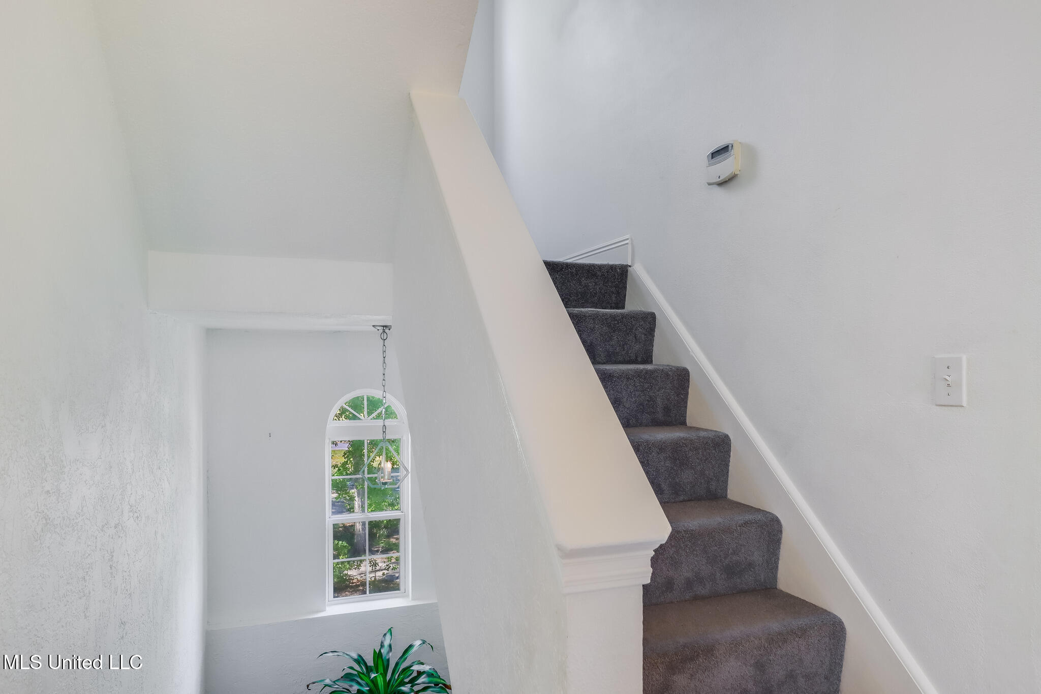 6105 Mary Mahoney Drive Property Photo 33