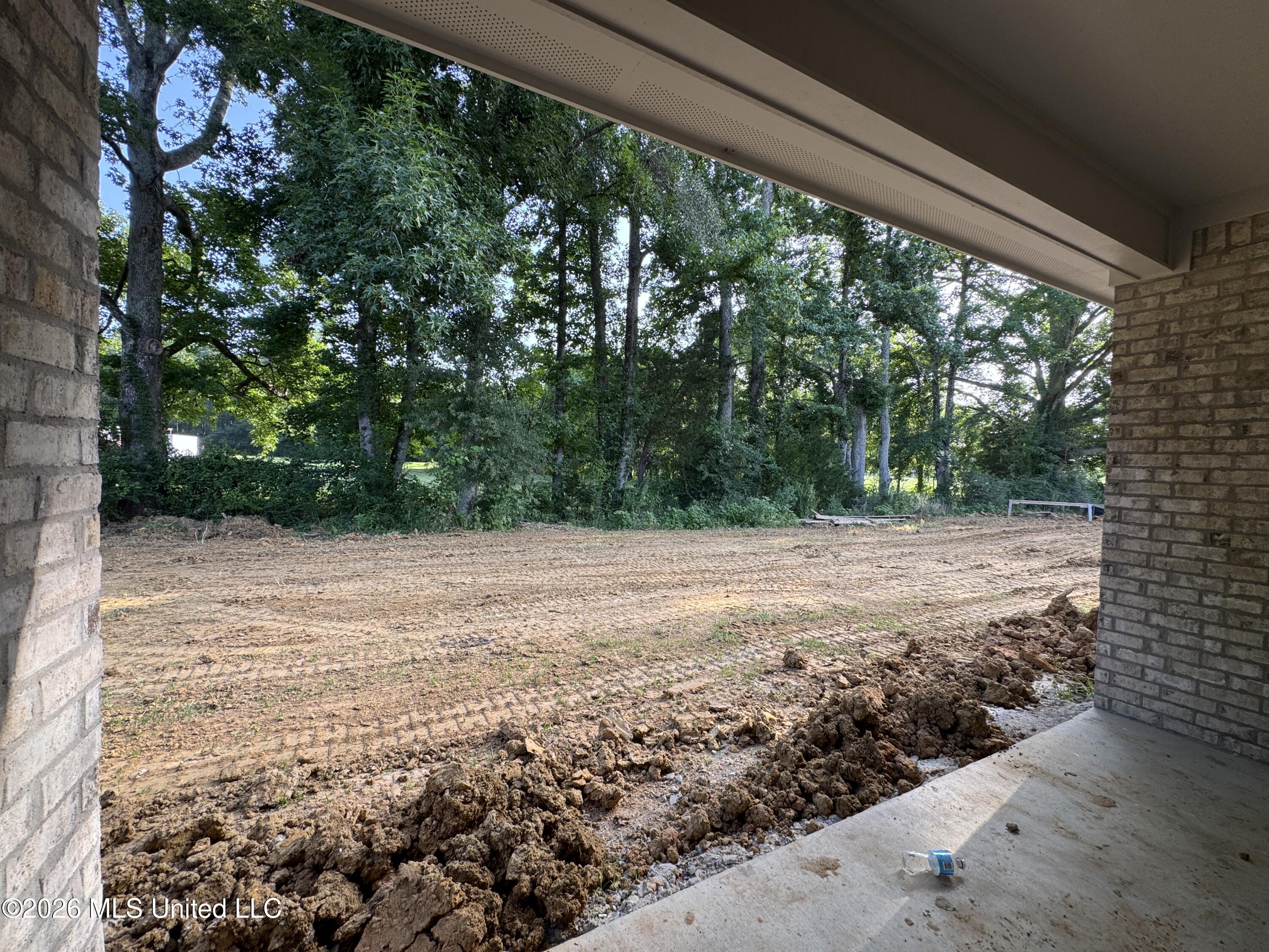 115 Hyde Park Drive Property Photo 15