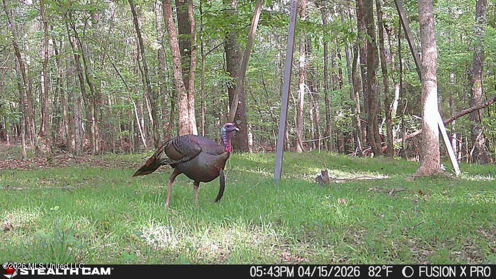 00 County Road 3102 Property Photo 75