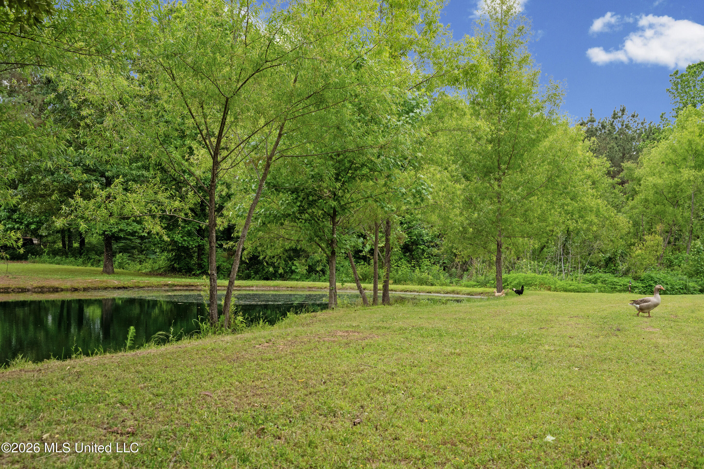 195 Southbrook Drive Property Photo 27