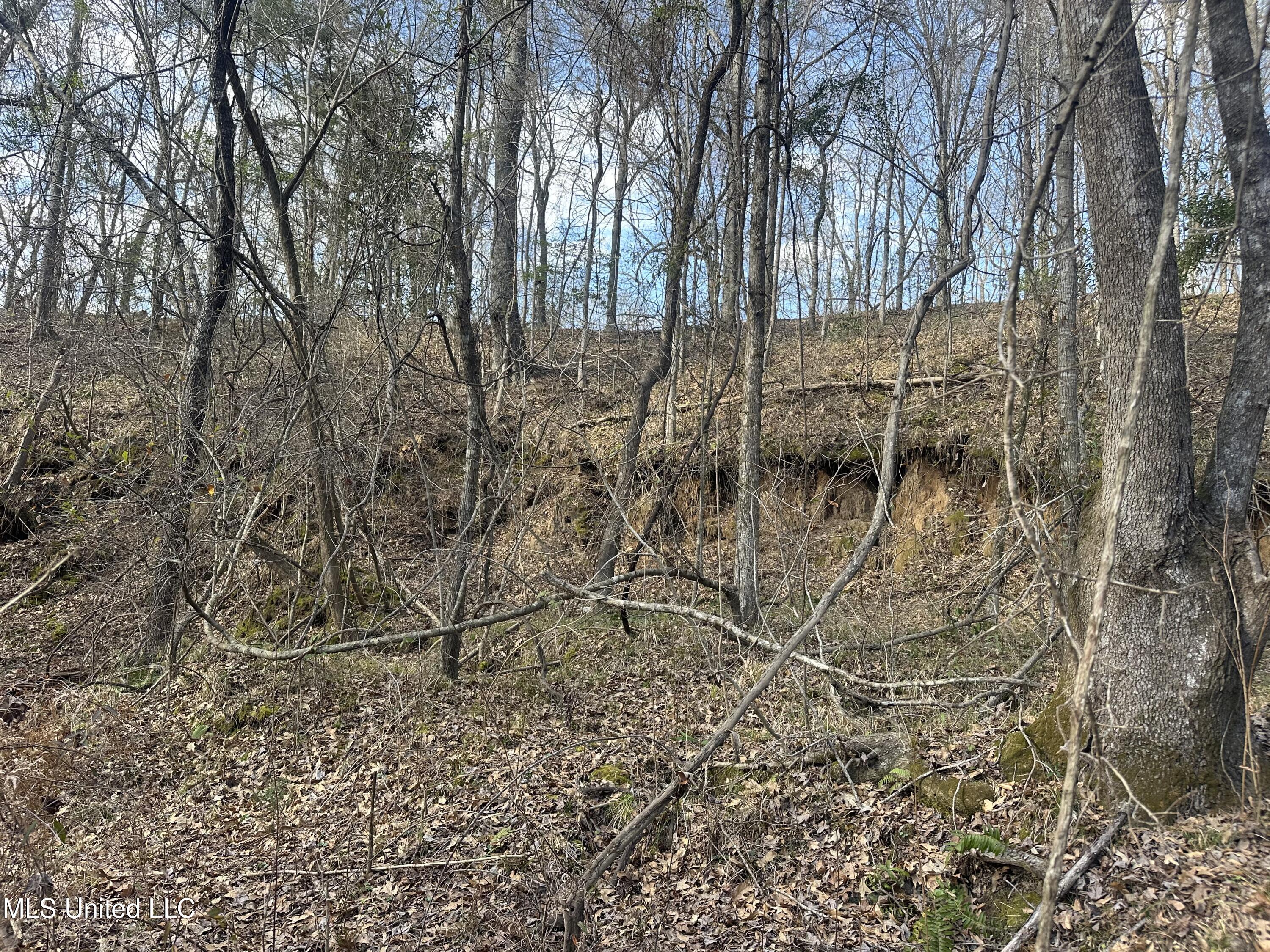 Dunbar Road Property Photo 36
