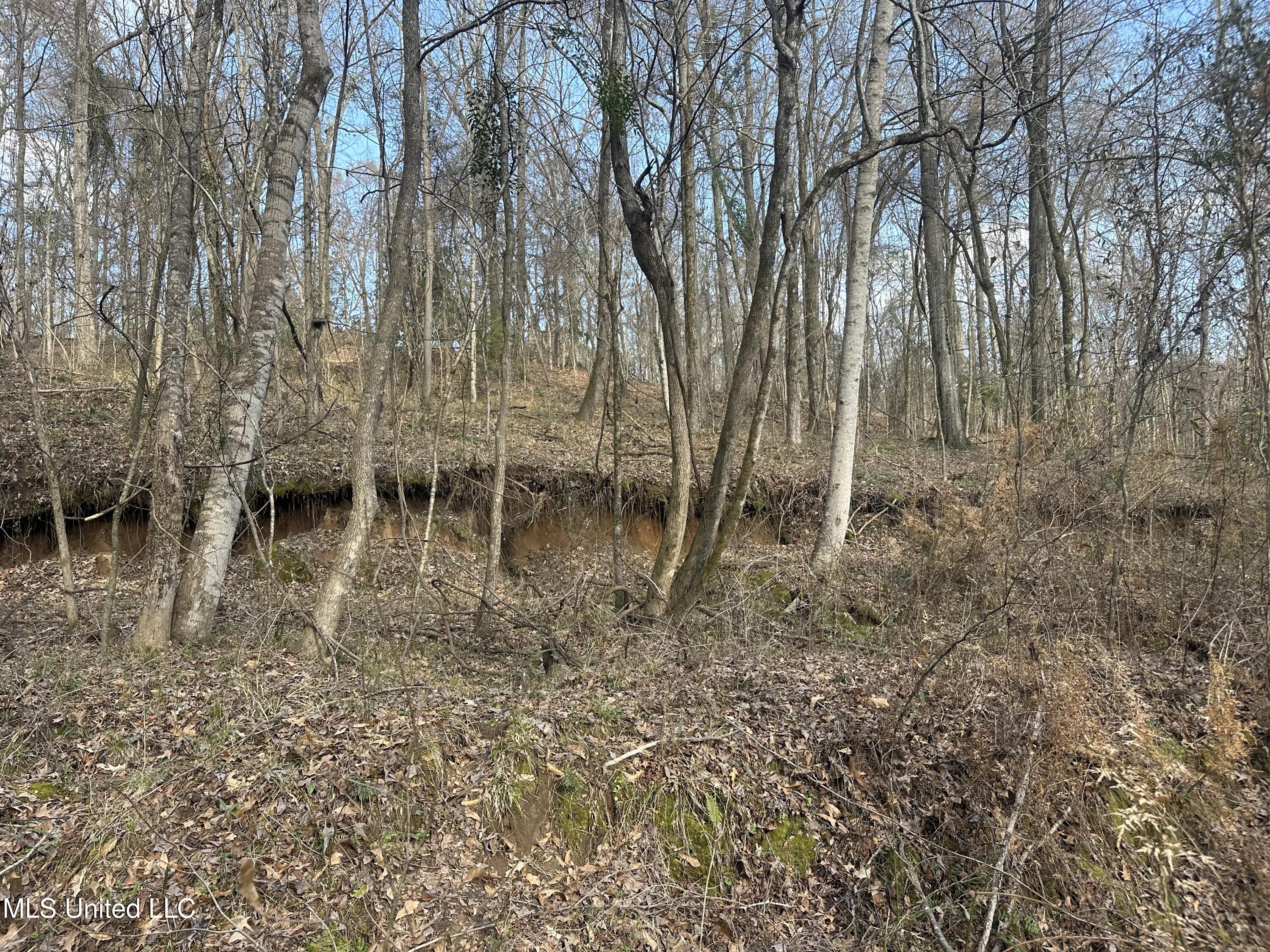 Dunbar Road Property Photo 37