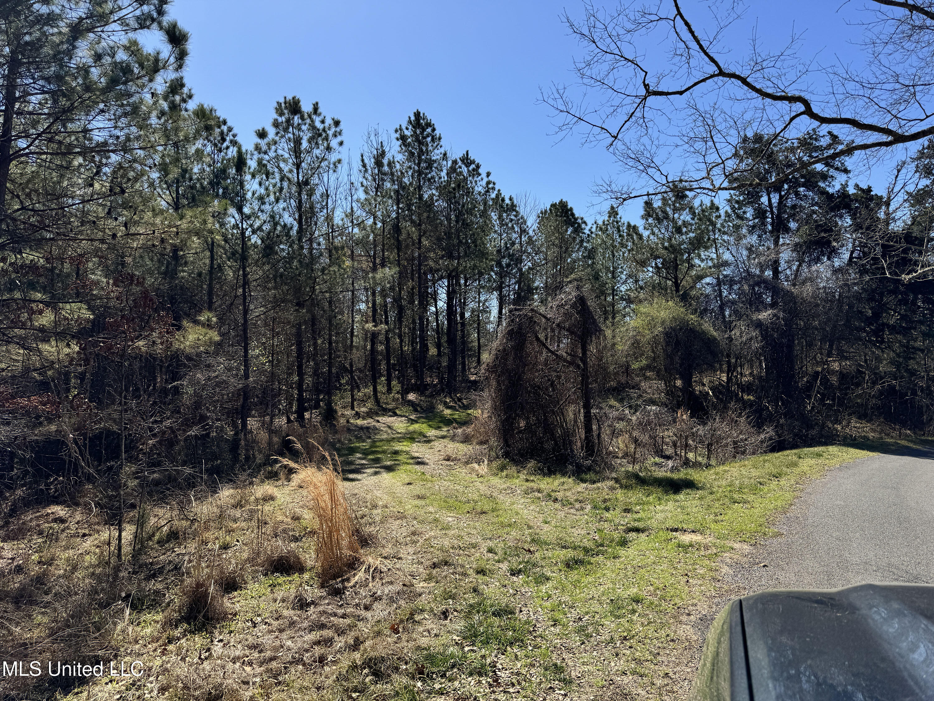 Hickory Ridge Road Property Photo 2