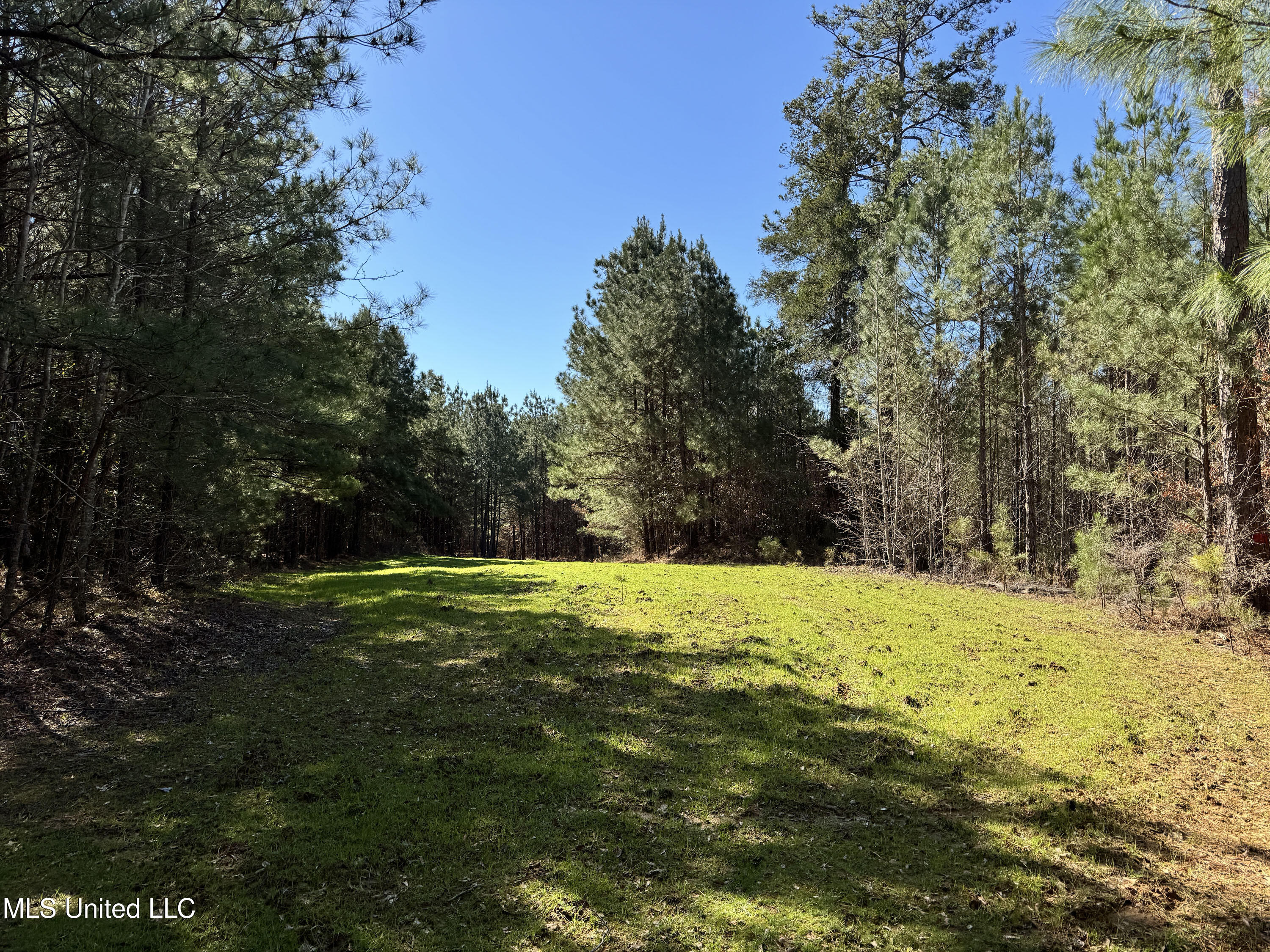 Hickory Ridge Road Property Photo 3