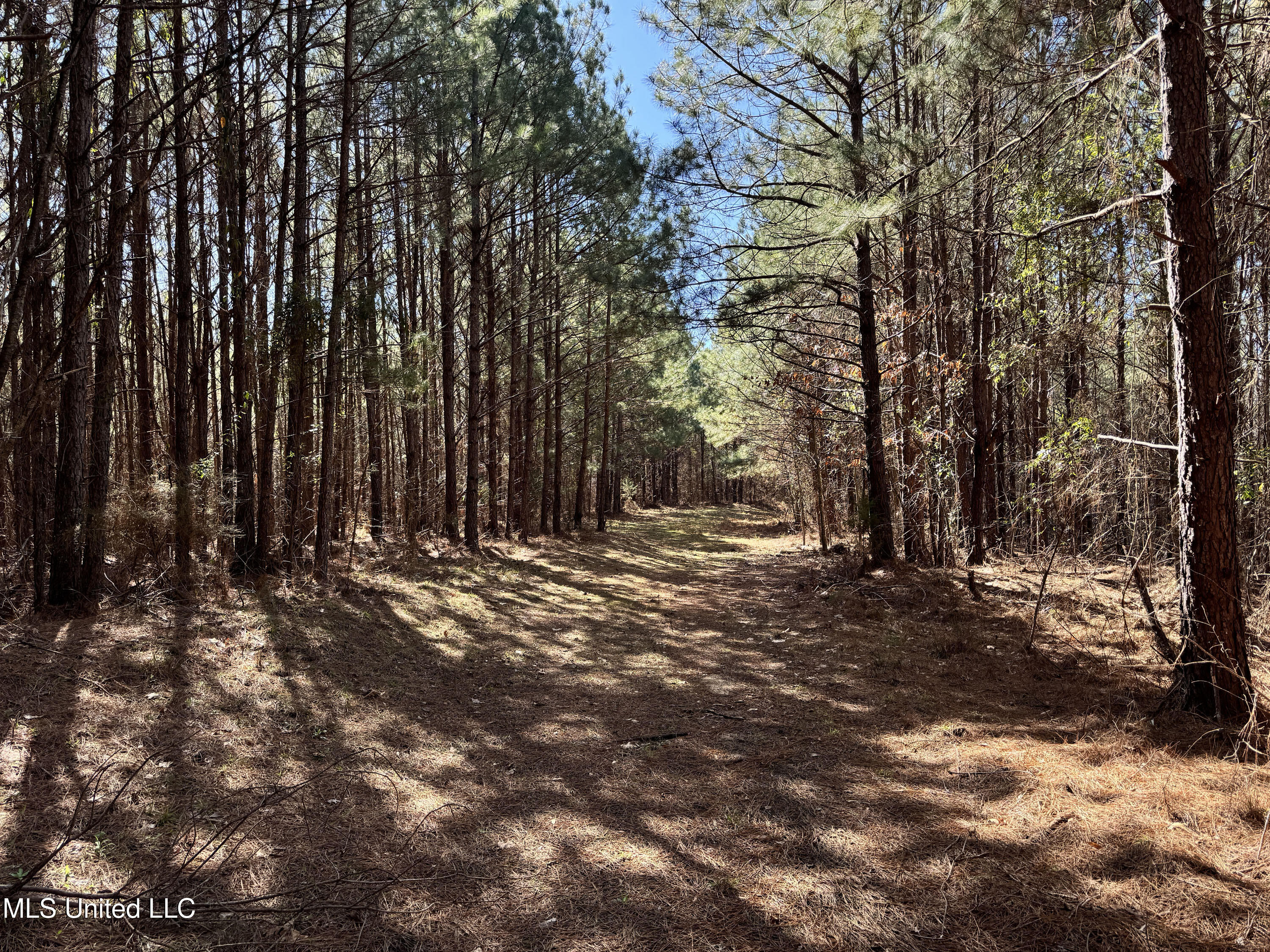 Hickory Ridge Road Property Photo 4