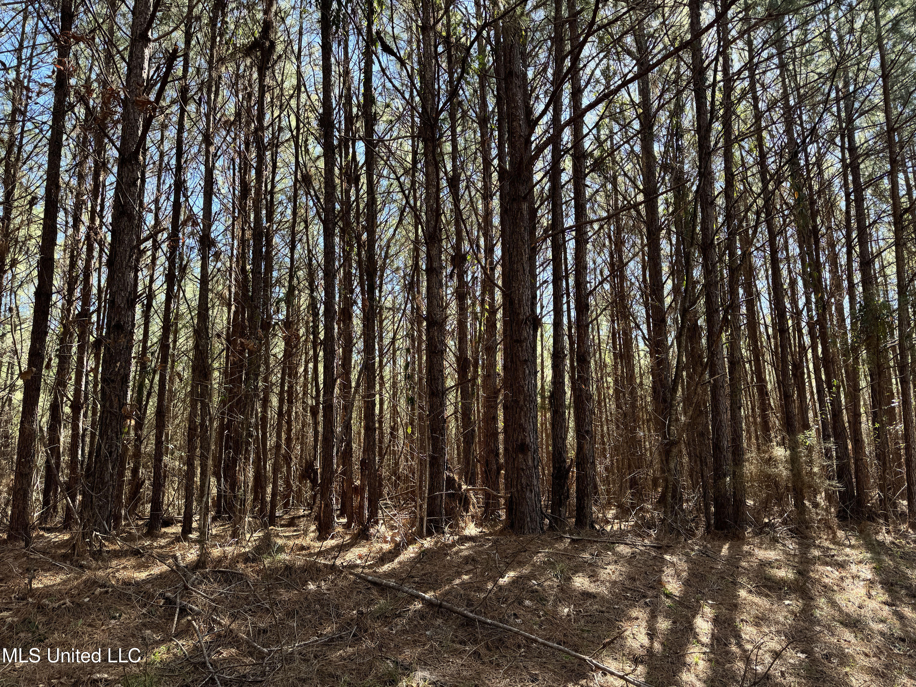 Hickory Ridge Road Property Photo 5
