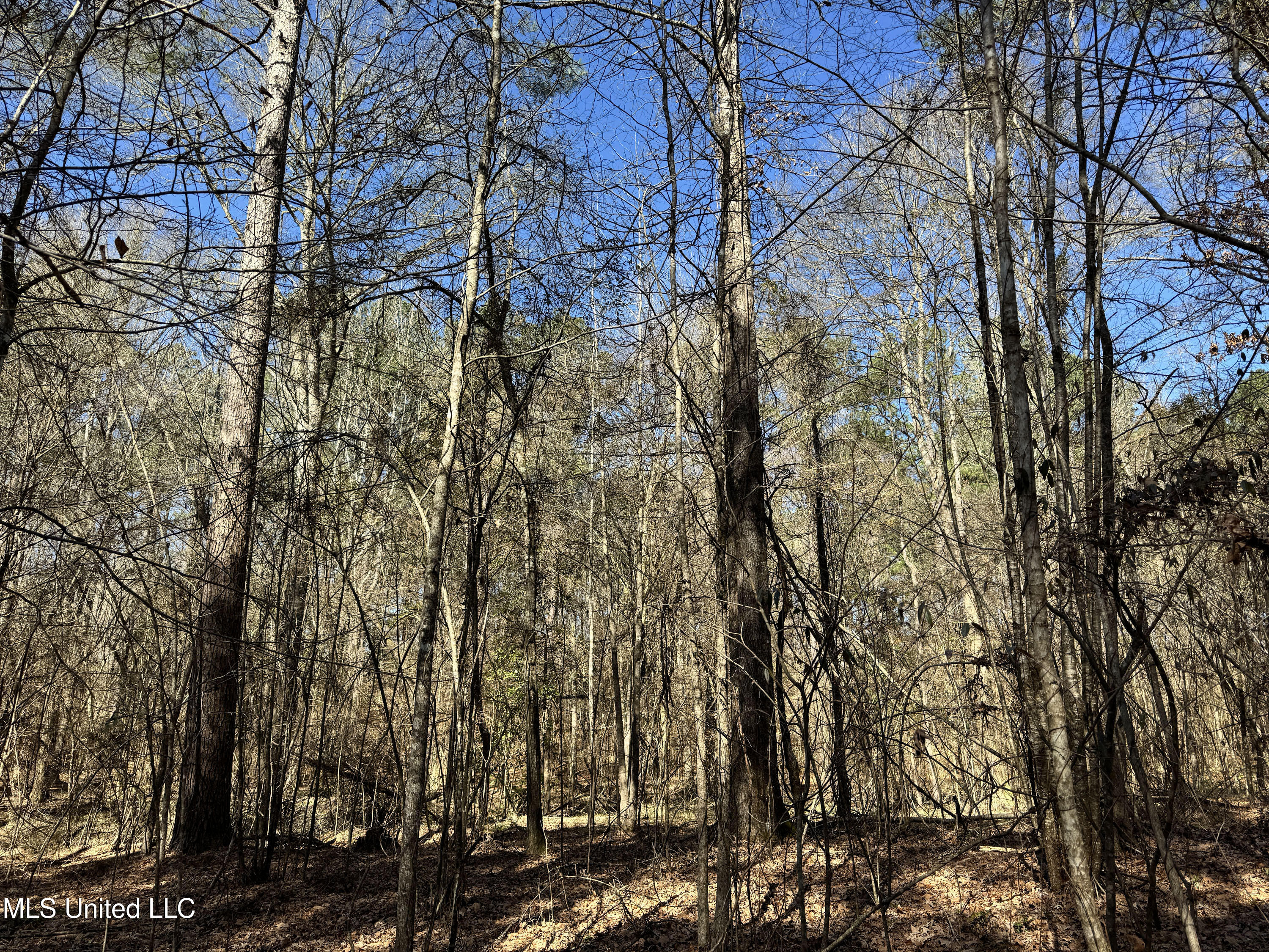 Hickory Ridge Road Property Photo 6