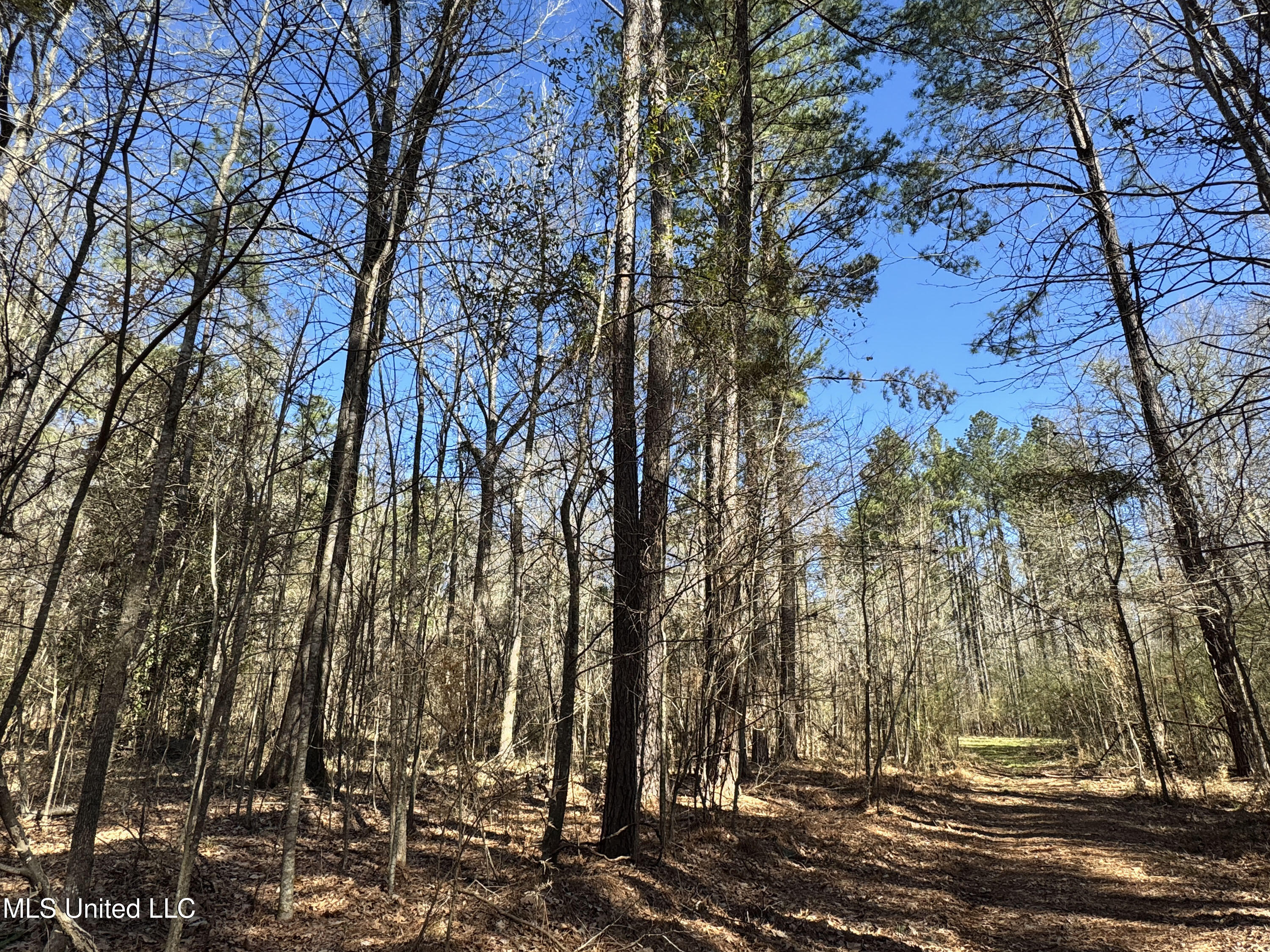 Hickory Ridge Road Property Photo 7