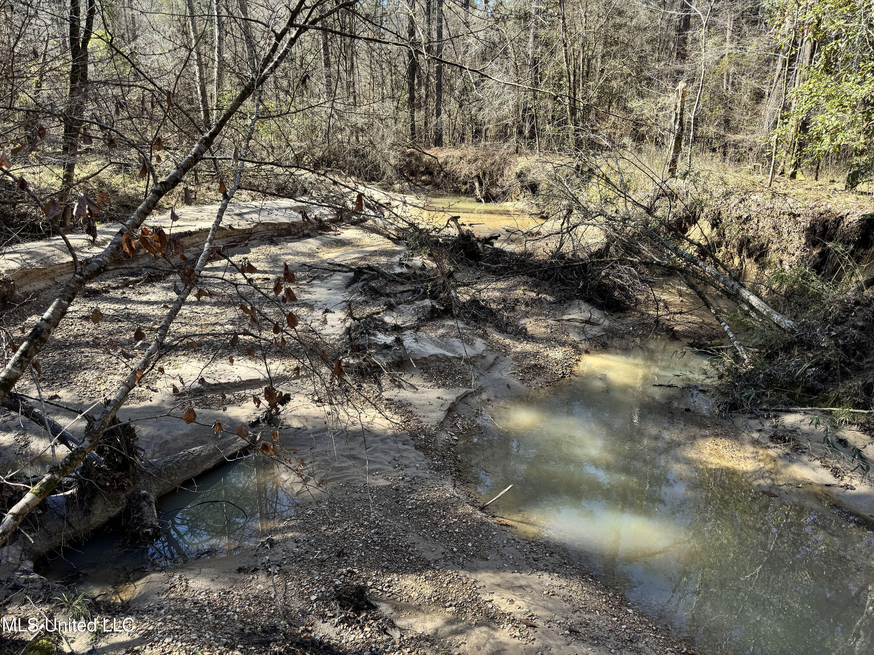 Hickory Ridge Road Property Photo 8