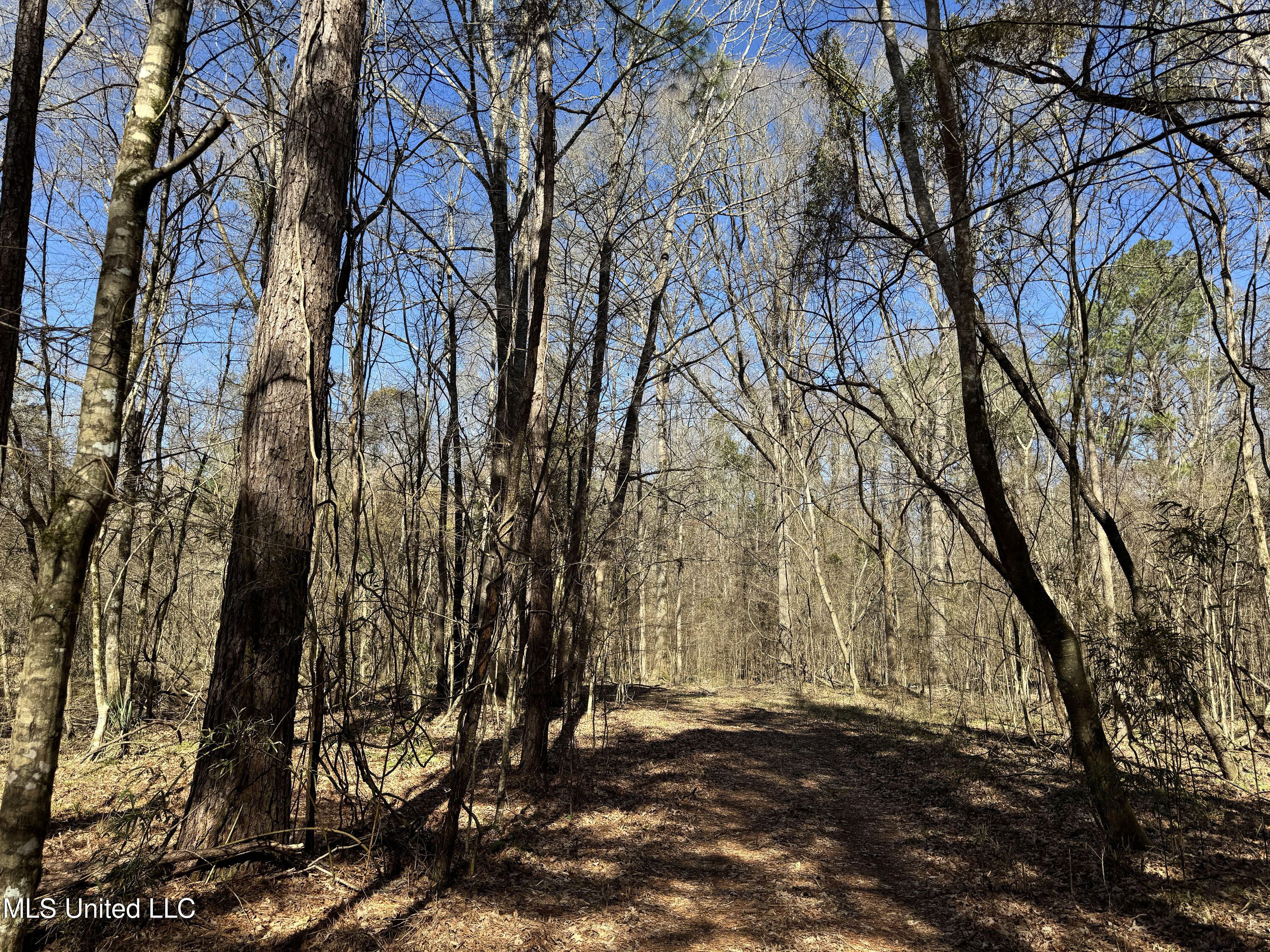 Hickory Ridge Road Property Photo 9