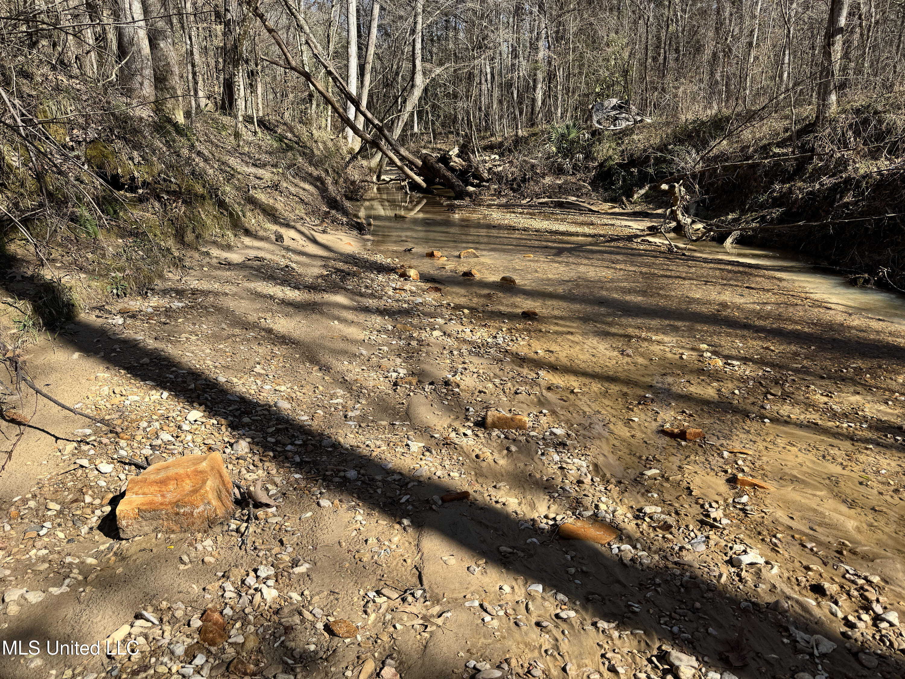 Hickory Ridge Road Property Photo 10