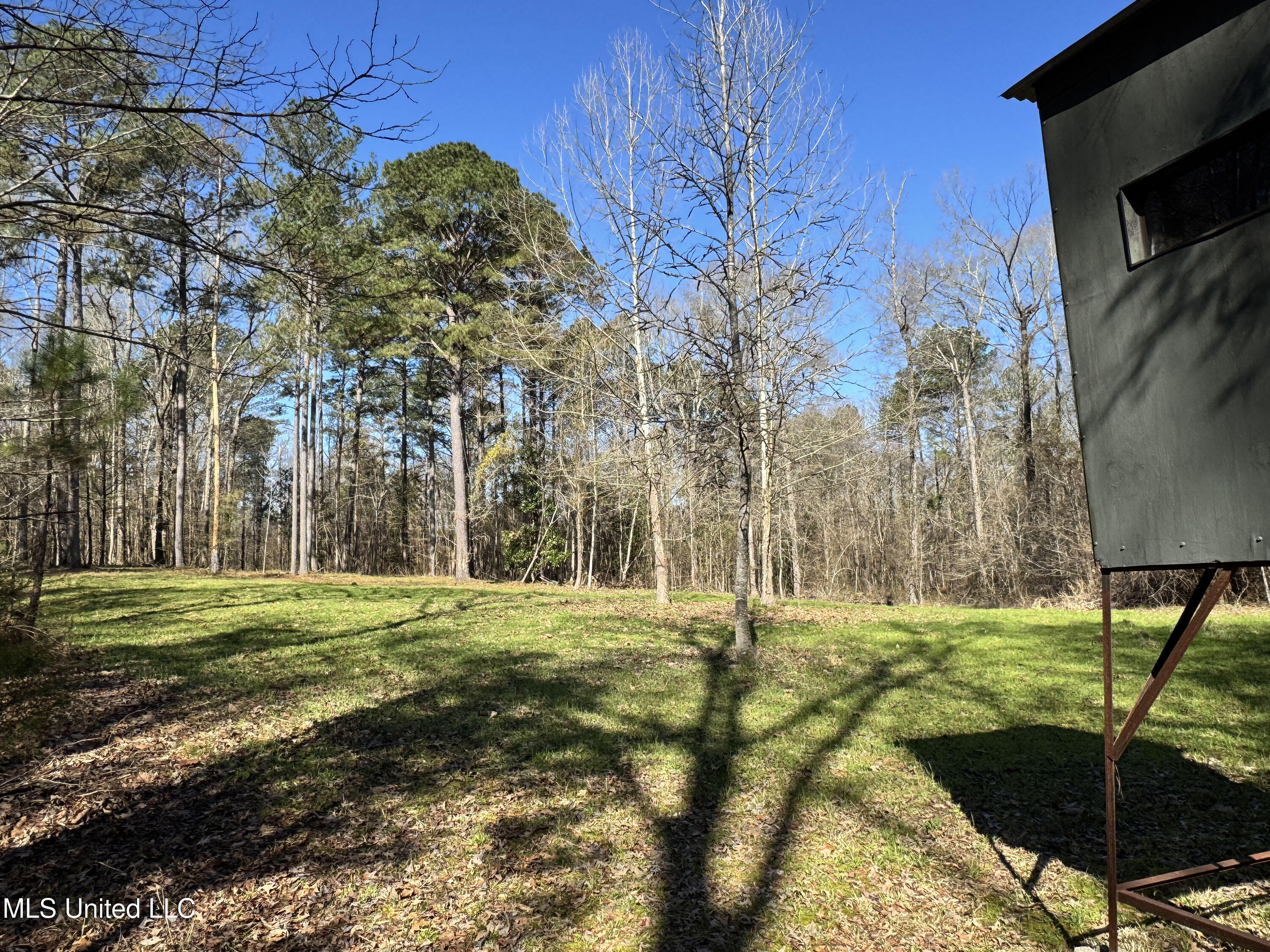 Hickory Ridge Road Property Photo 11