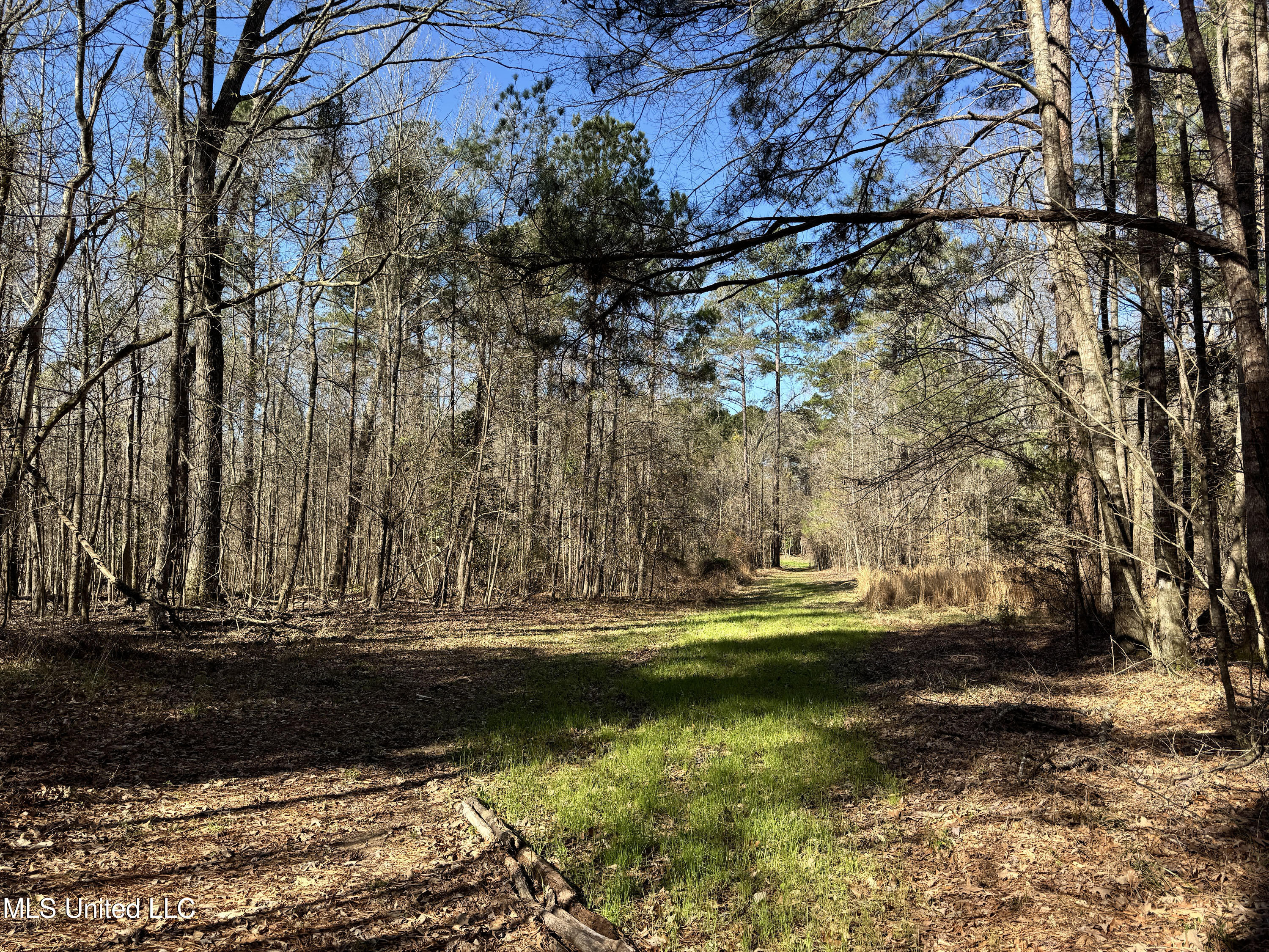 Hickory Ridge Road Property Photo 12