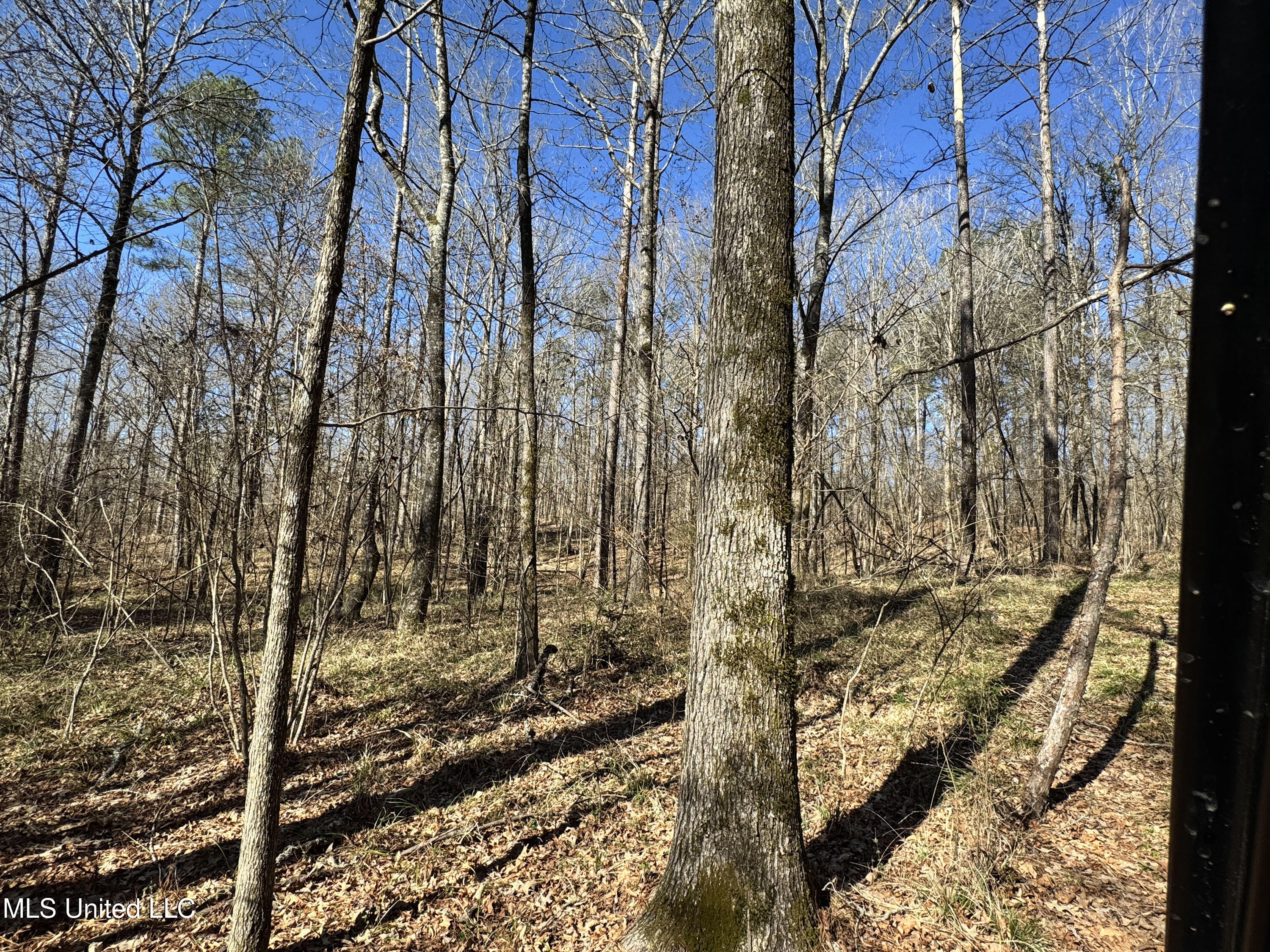 Hickory Ridge Road Property Photo 13