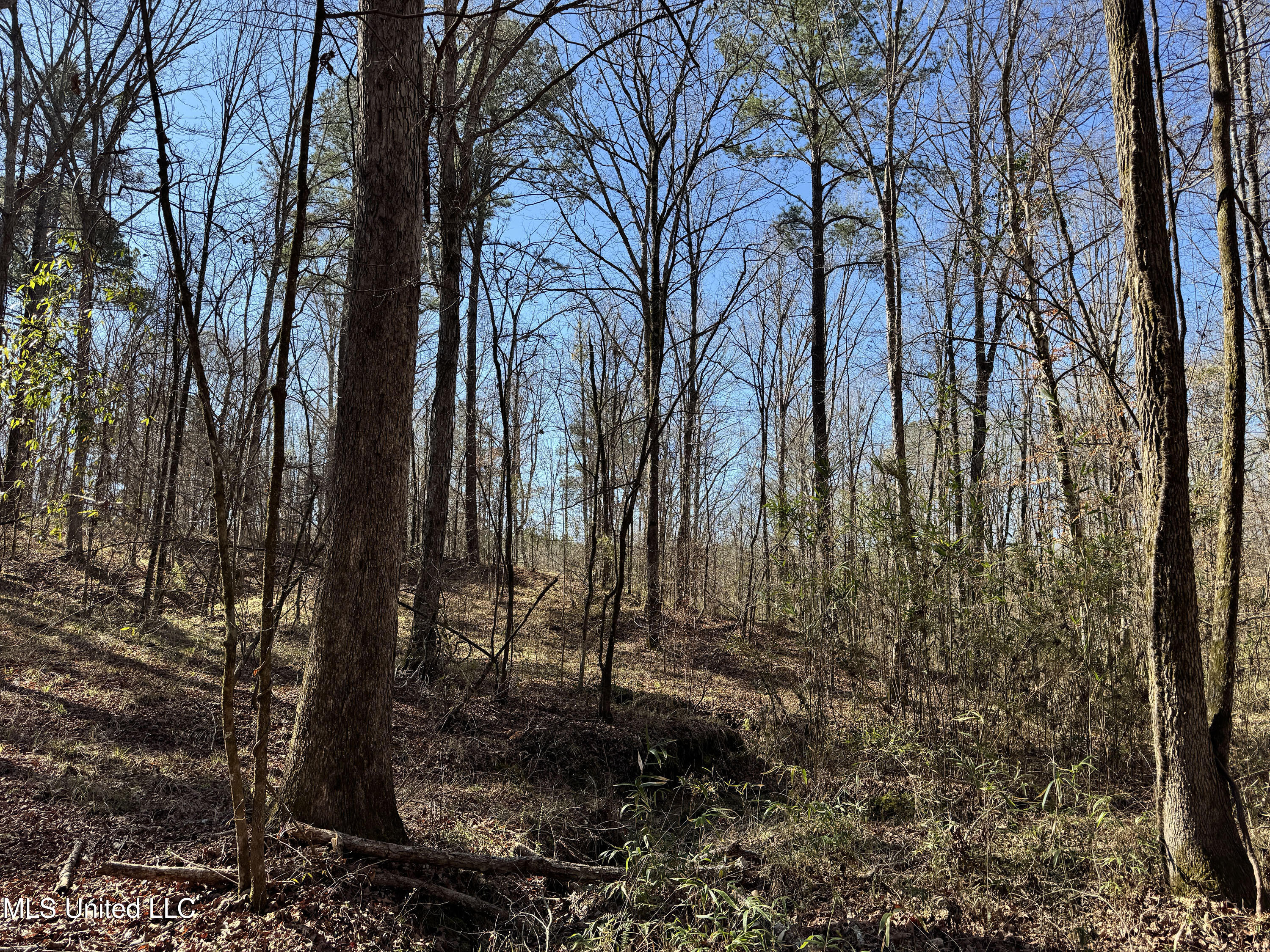 Hickory Ridge Road Property Photo 14