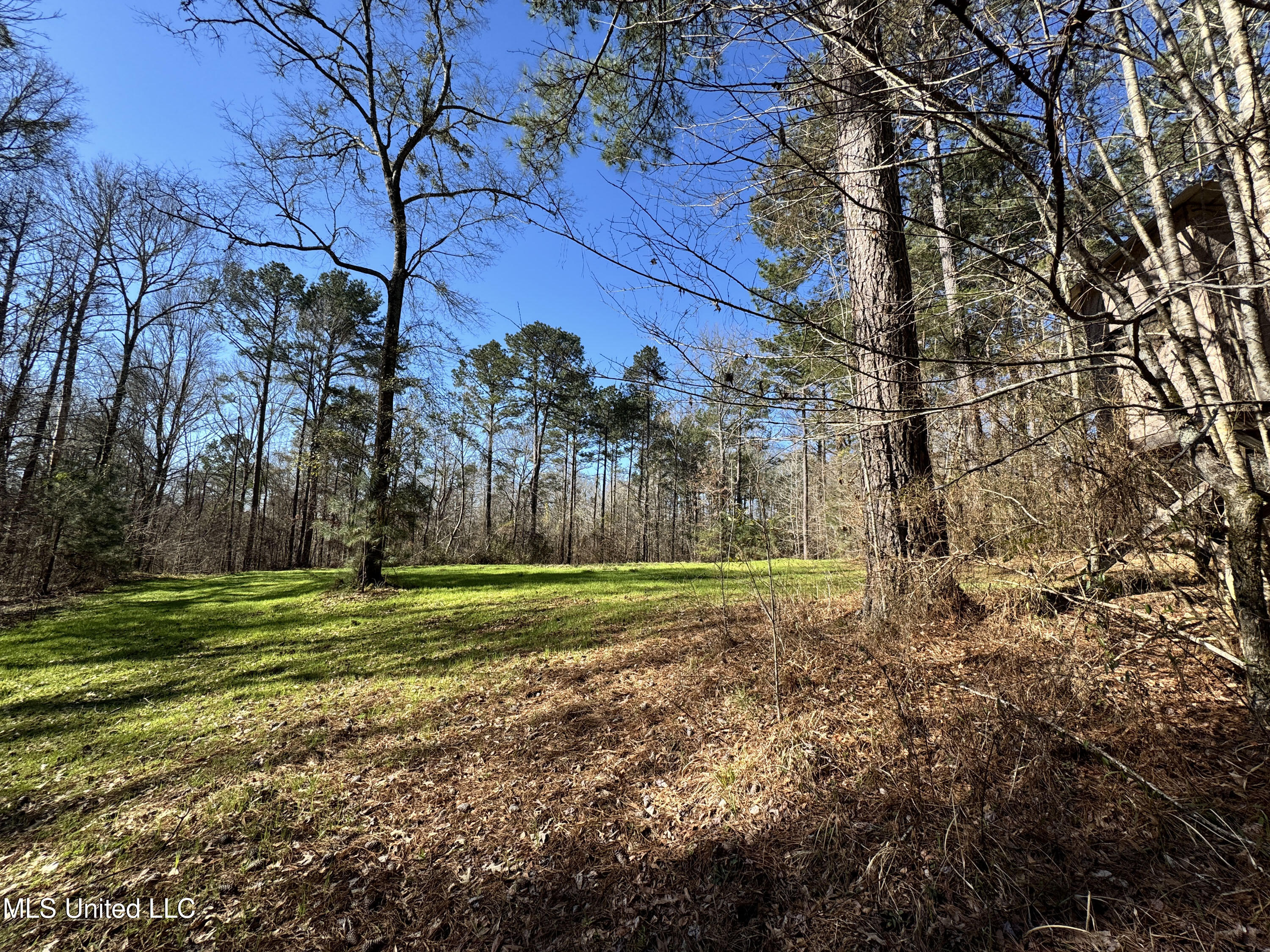 Hickory Ridge Road Property Photo 16