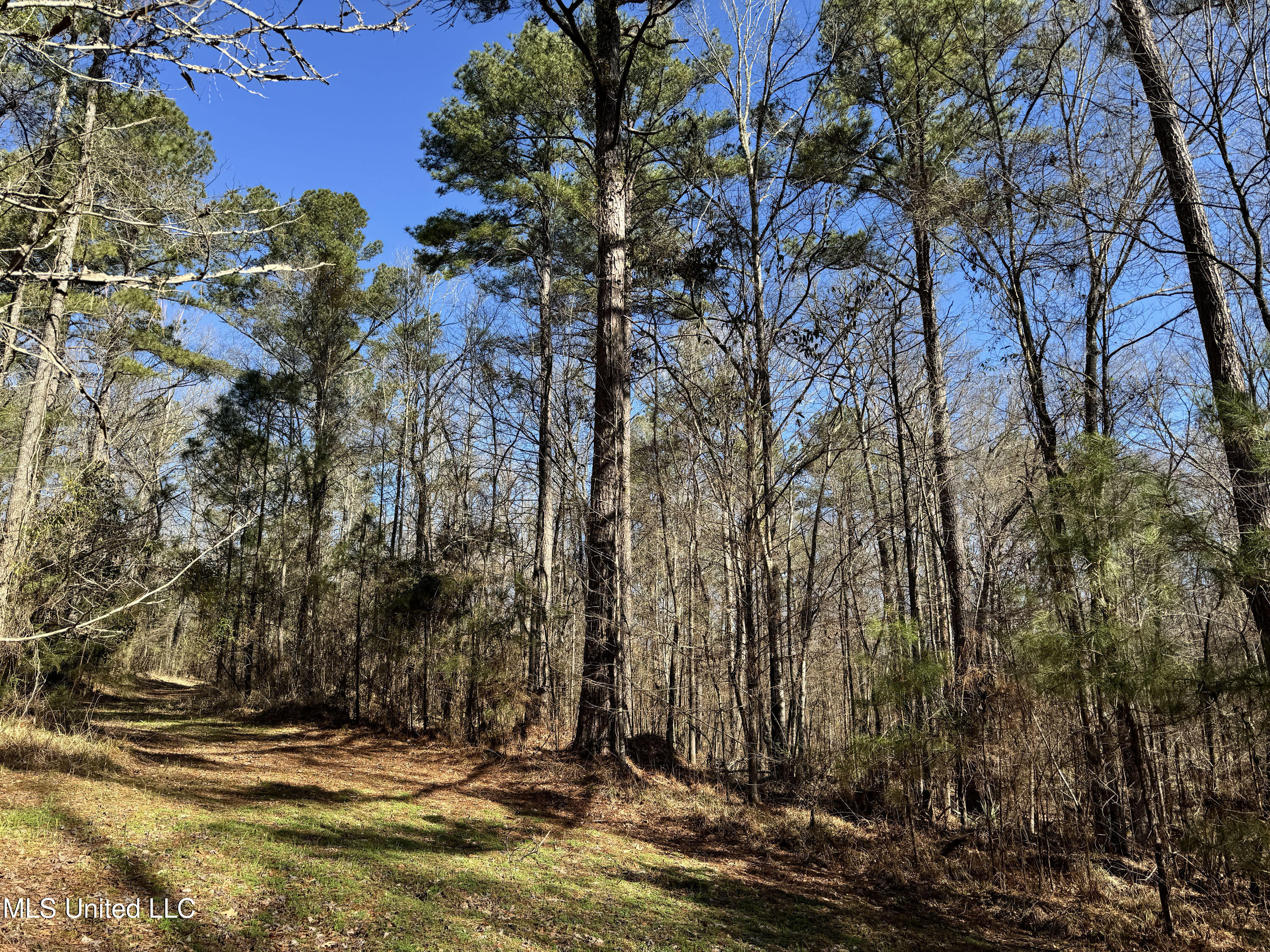 Hickory Ridge Road Property Photo 17