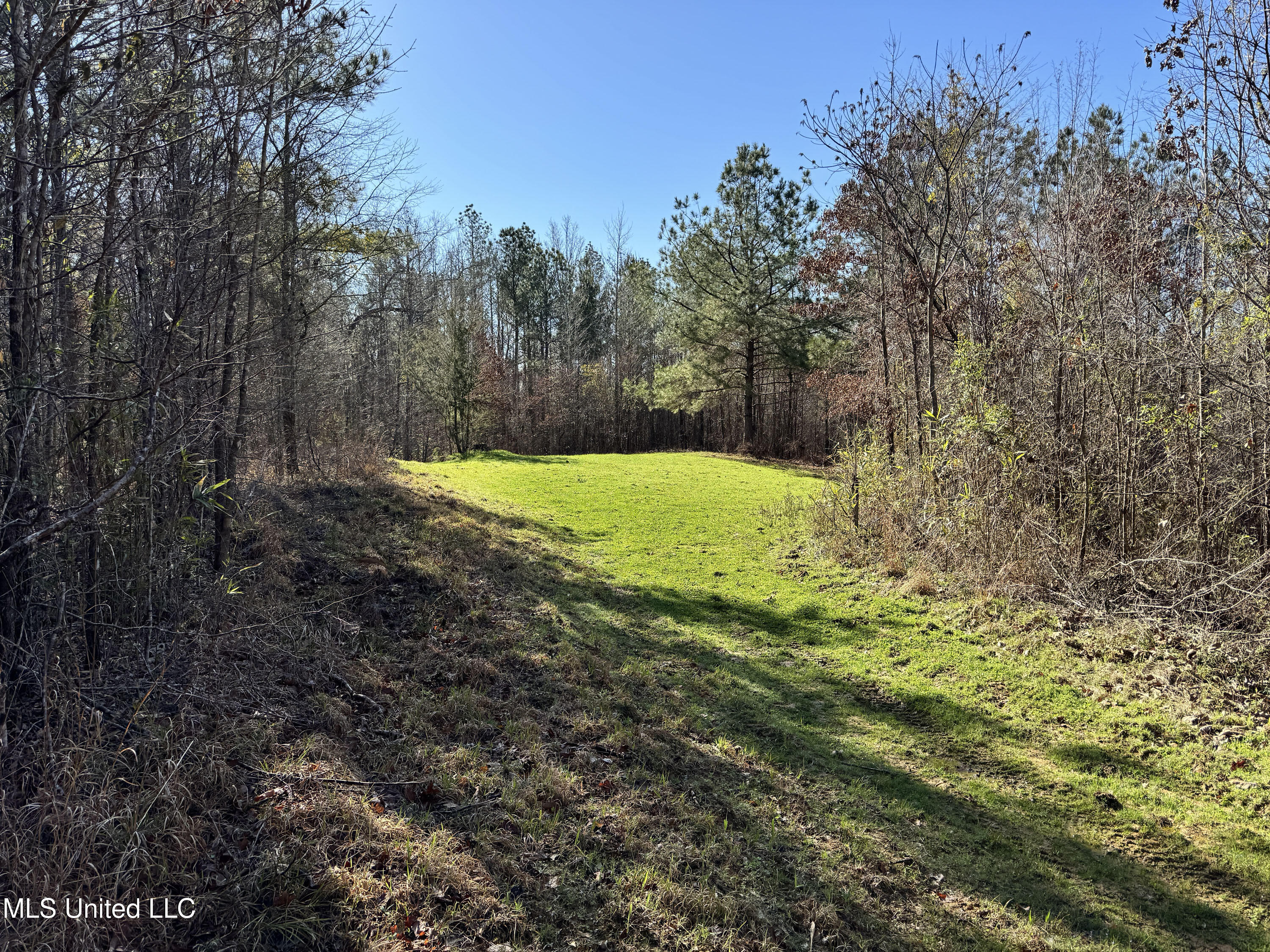 Hickory Ridge Road Property Photo 18