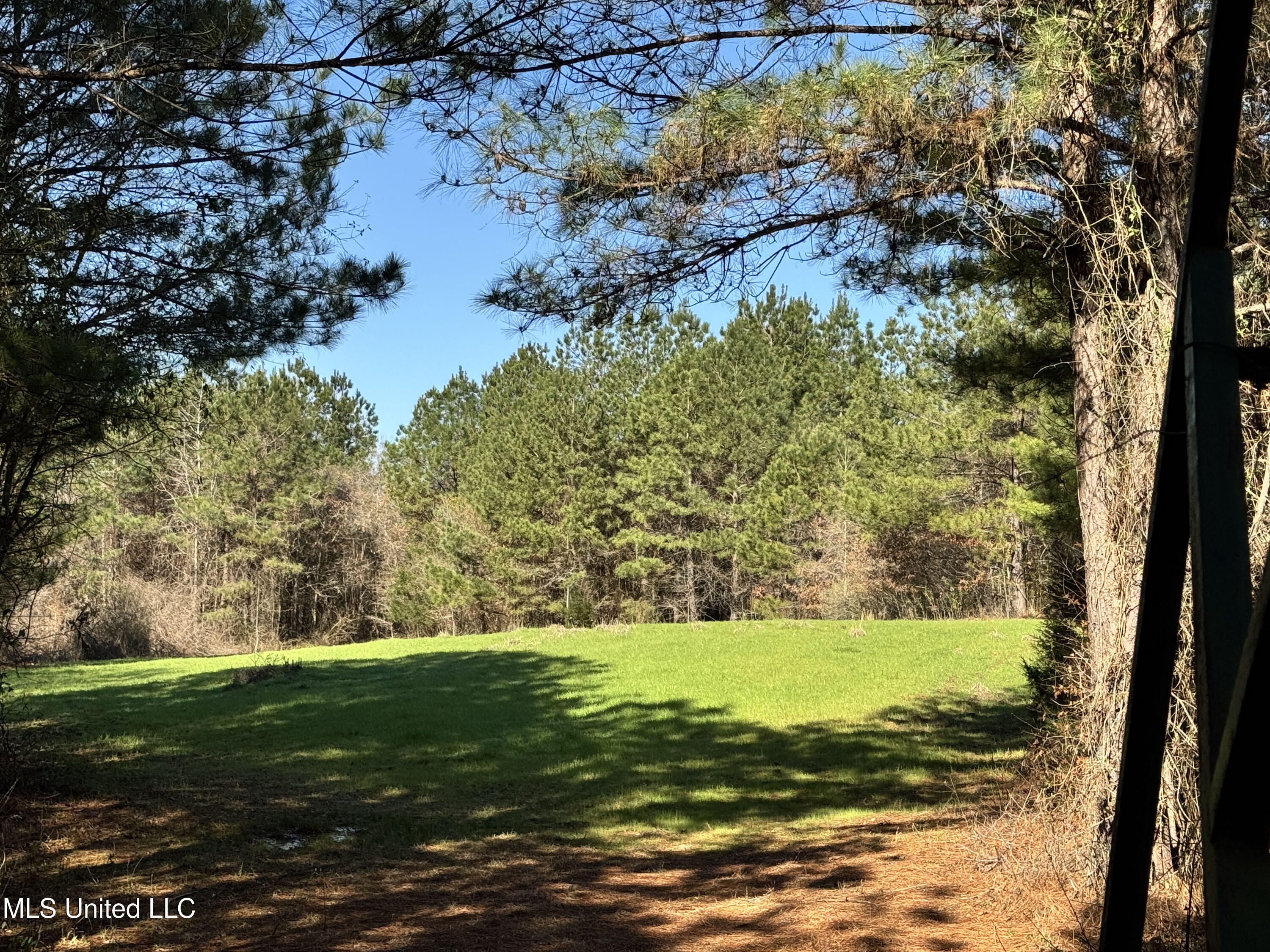 Hickory Ridge Road Property Photo 20
