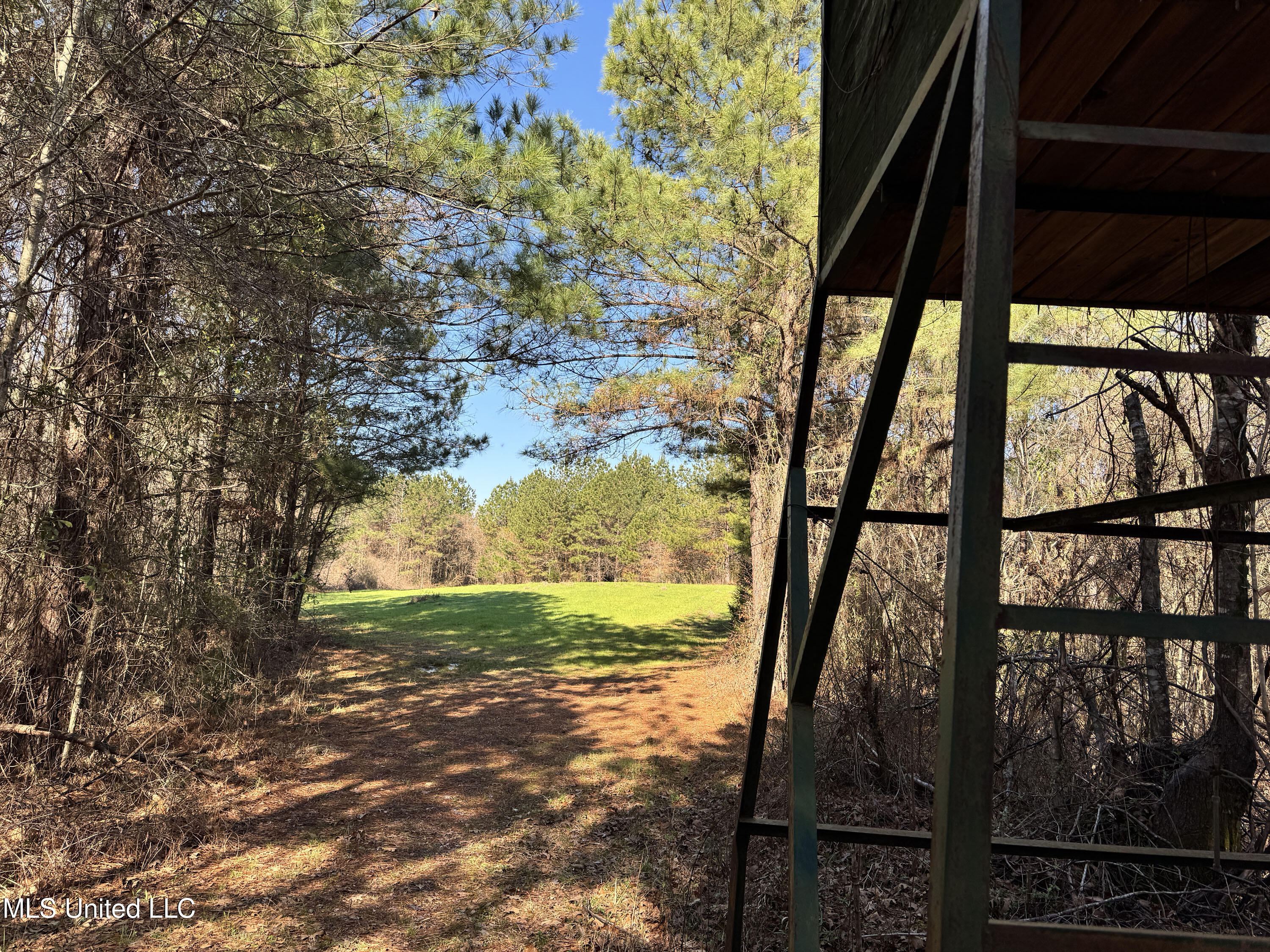 Hickory Ridge Road Property Photo 21
