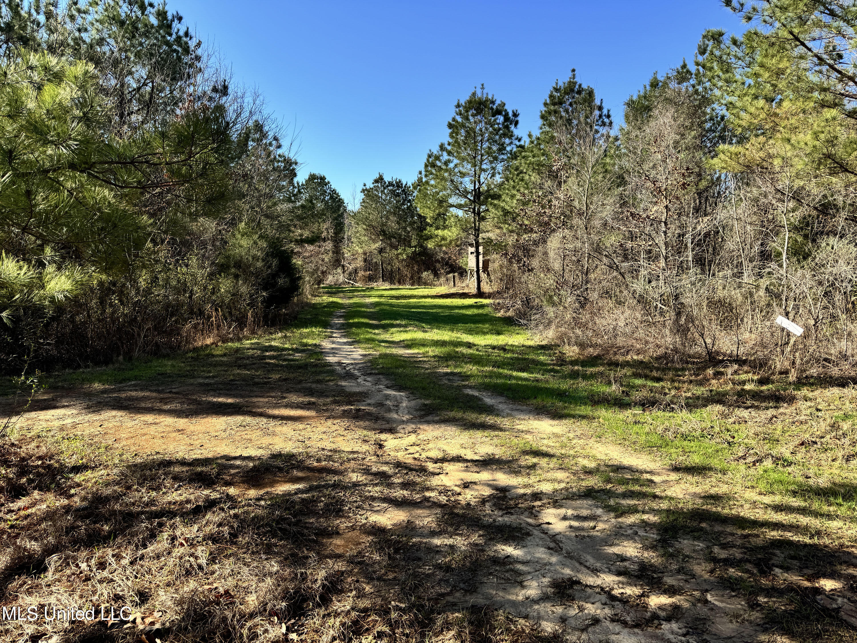 Hickory Ridge Road Property Photo 23