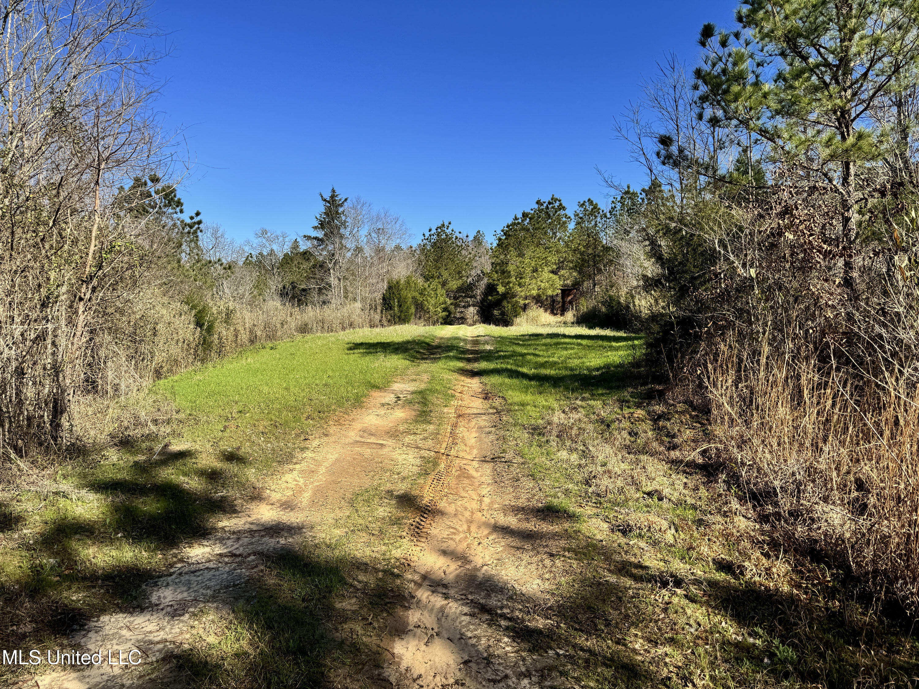 Hickory Ridge Road Property Photo 24