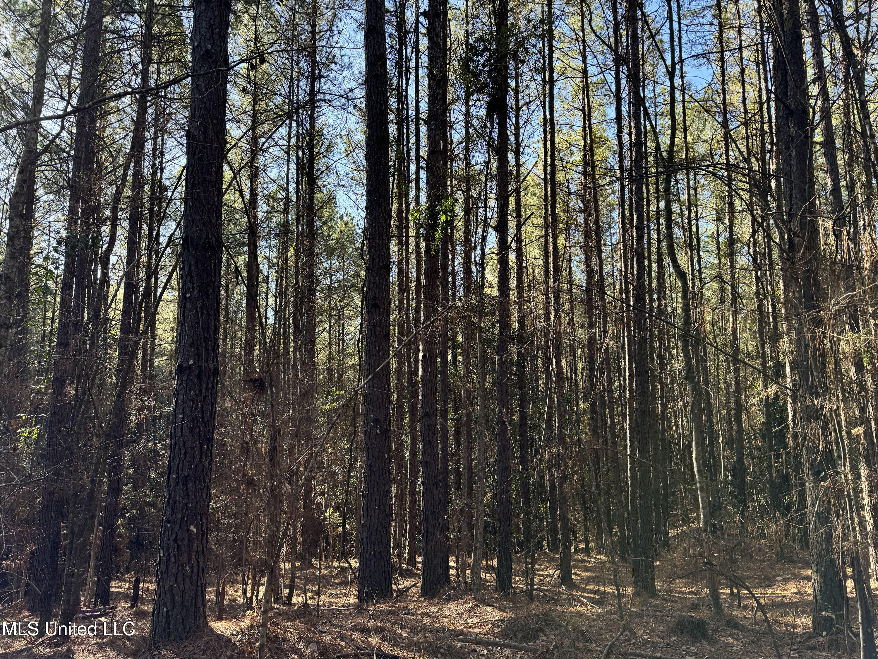 Hickory Ridge Road Property Photo 25
