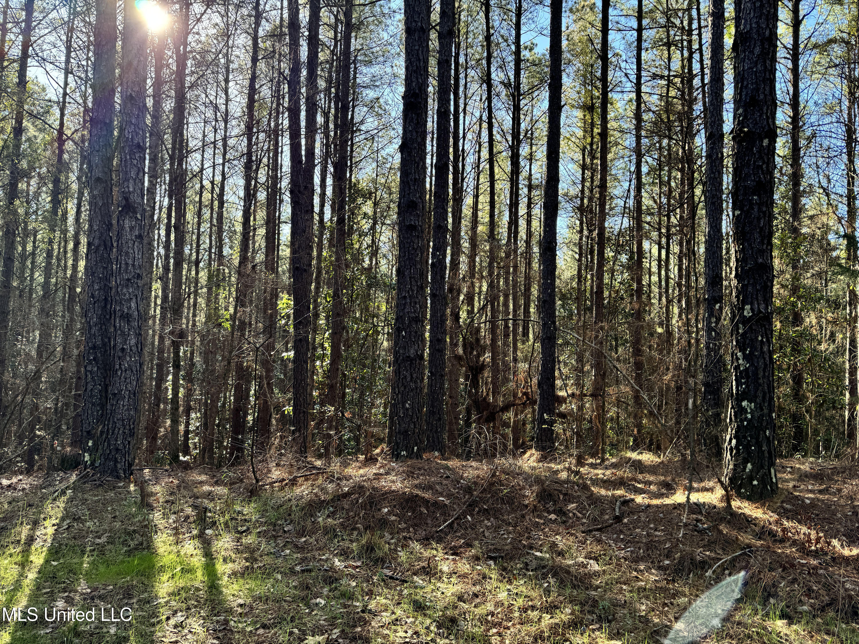 Hickory Ridge Road Property Photo 26