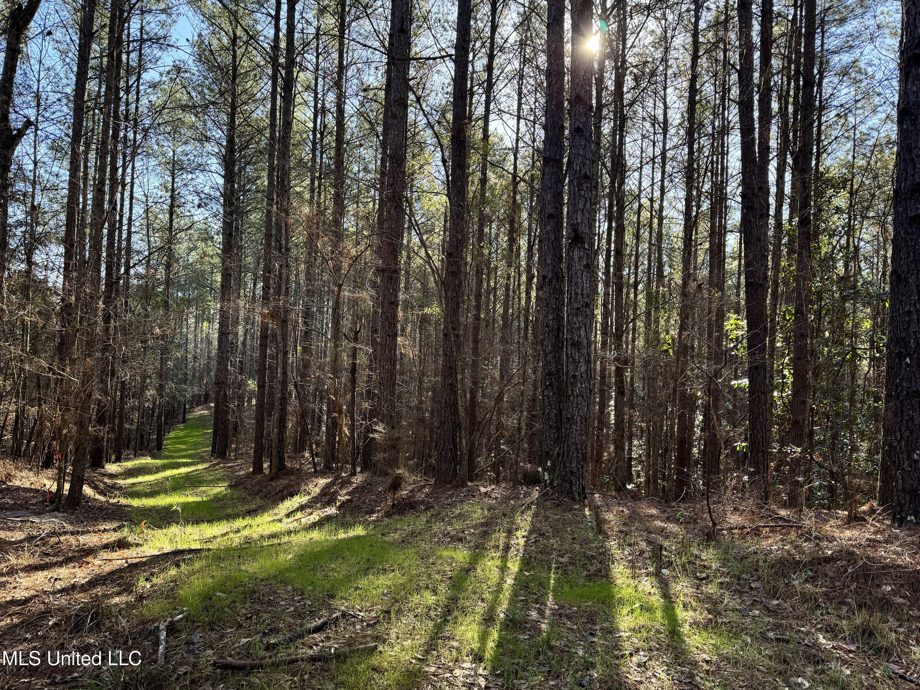 Hickory Ridge Road Property Photo 27