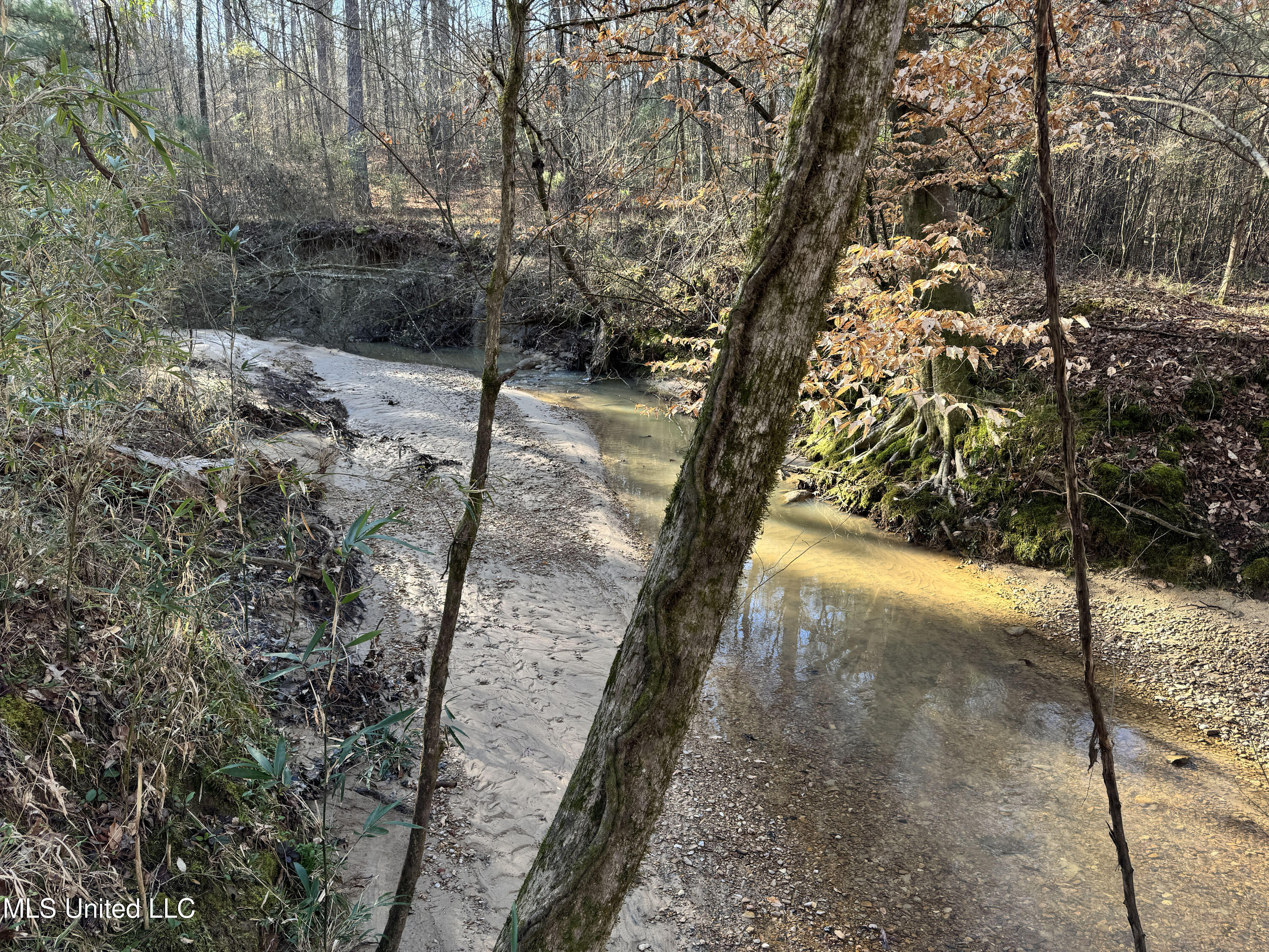 Hickory Ridge Road Property Photo 28