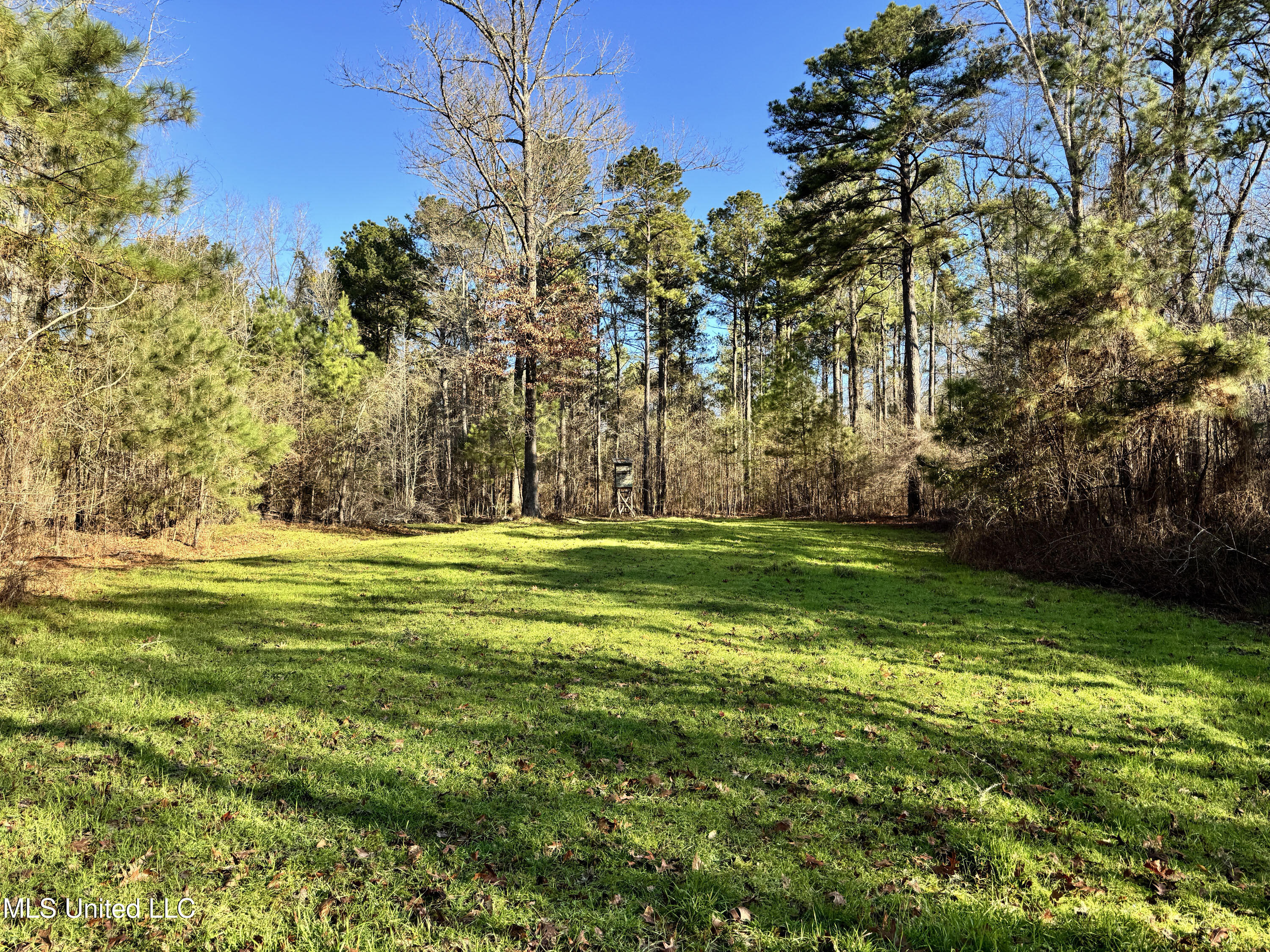 Hickory Ridge Road Property Photo 29