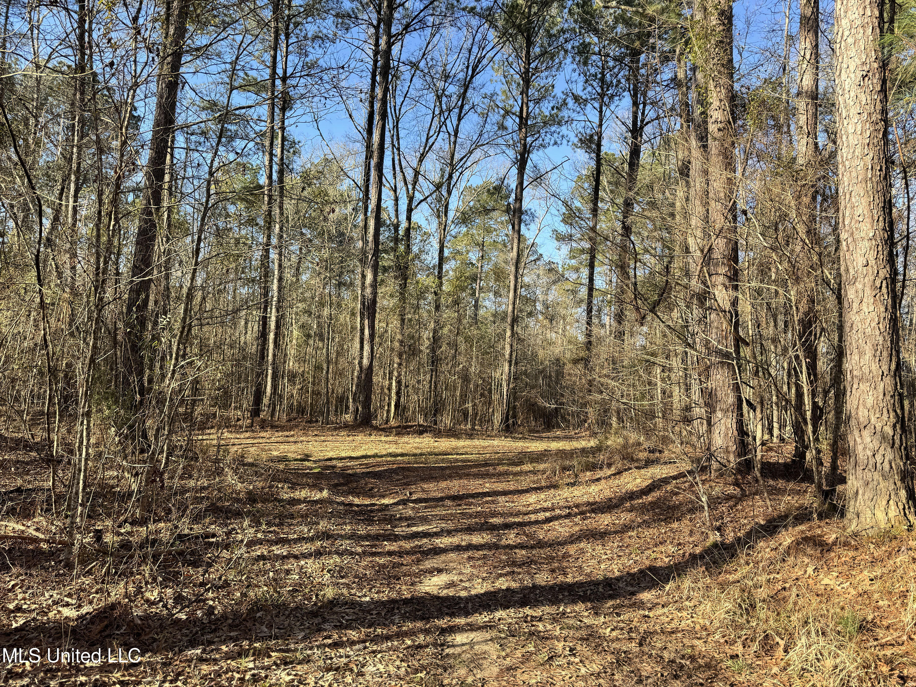 Hickory Ridge Road Property Photo 30