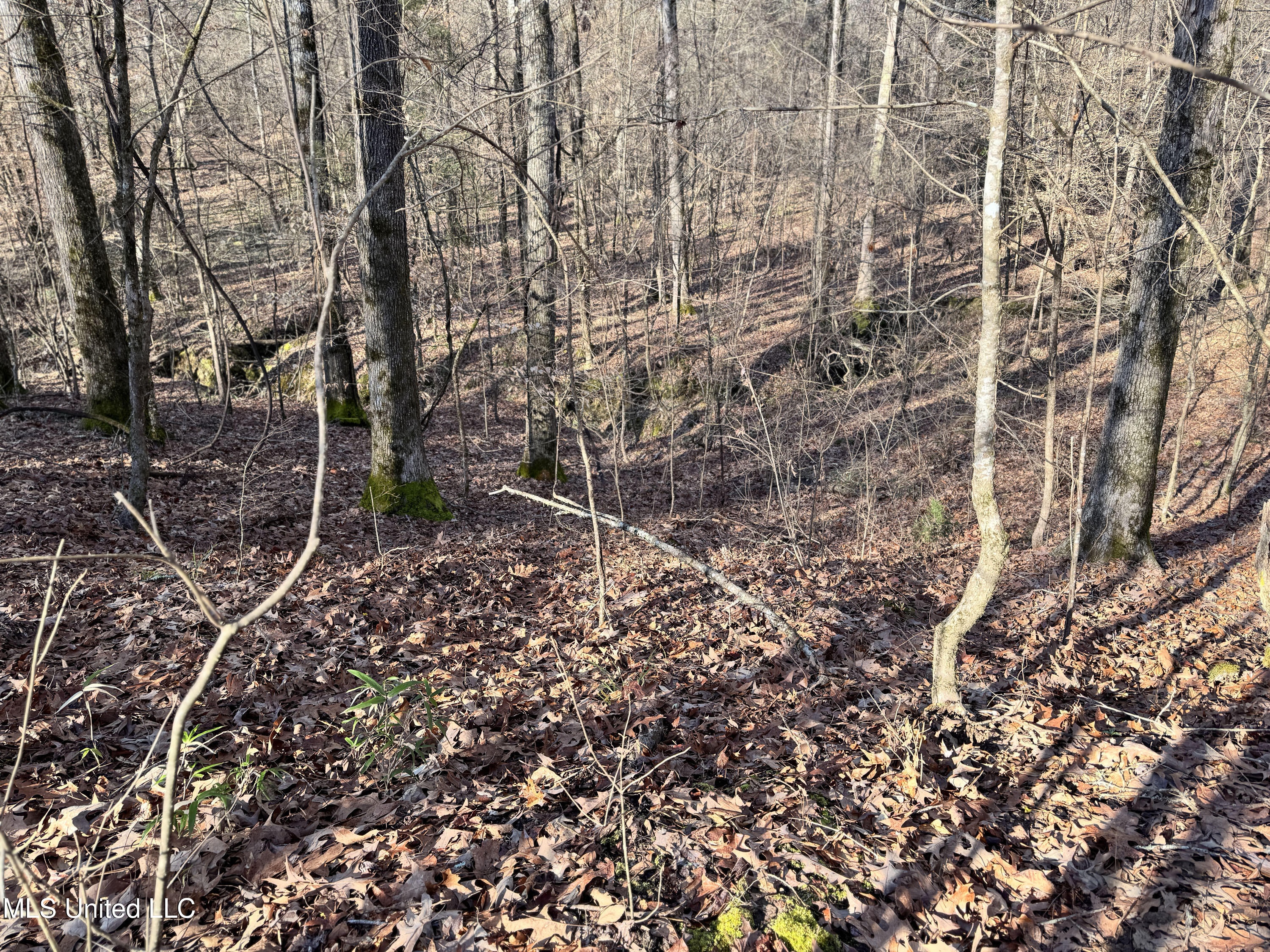Hickory Ridge Road Property Photo 31
